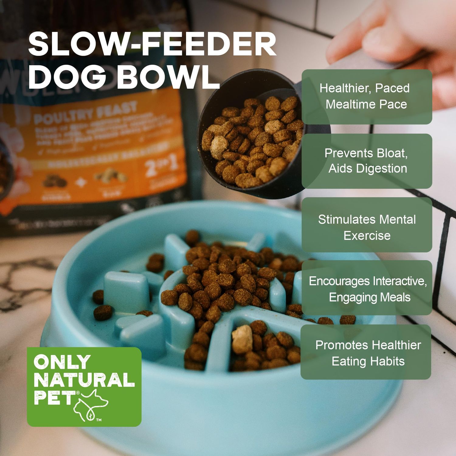 Only Natural Pet Sunup Slow-Feeder Dog Bowl - 50% Plant-Based, Eco-Friendly, BPA & Phthalate-Free, No-Slip Bottom & Handle Indentations, Dishwasher Safe, Small to Medium Dogs - Teal, Small 7.5" x 2"