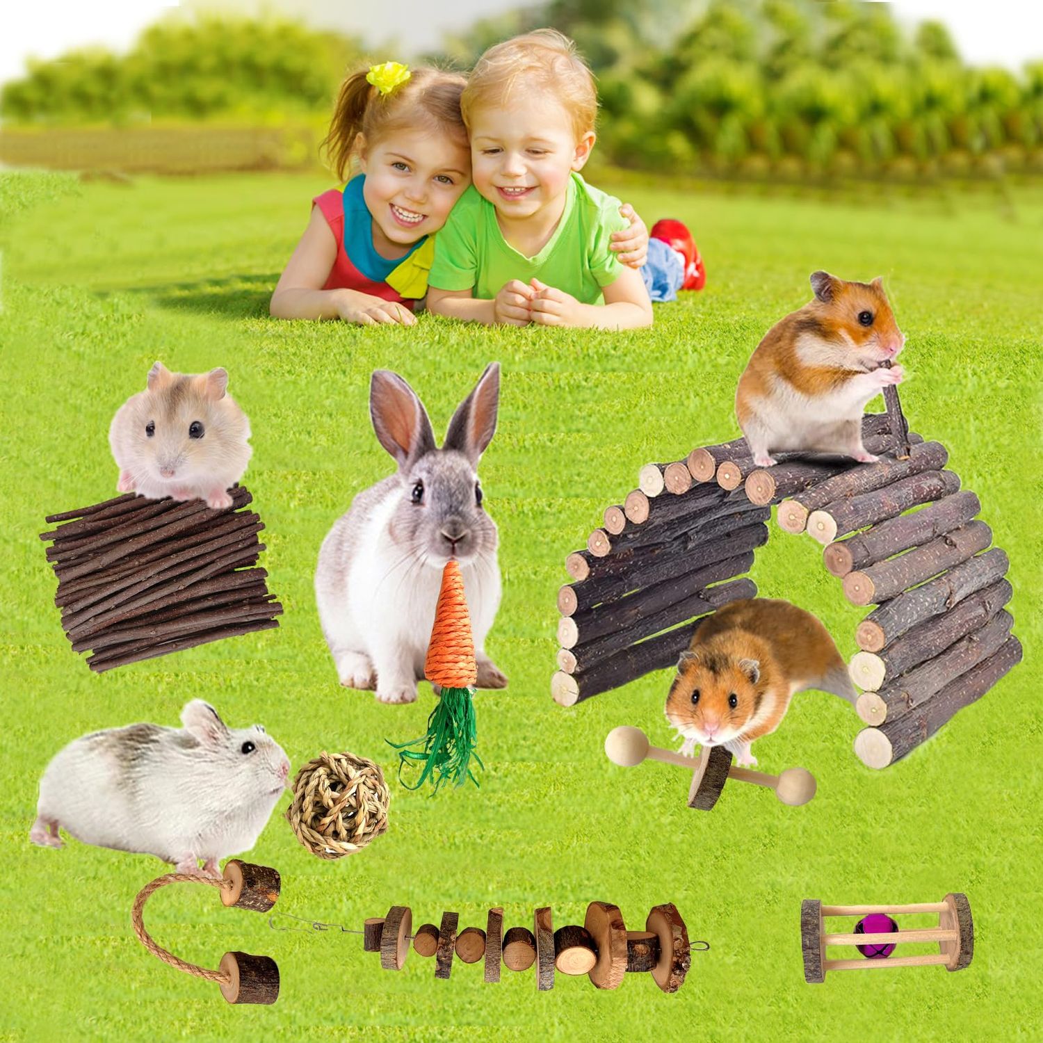 Syhemtya Chinchilla Toys Hamster Chew Toys Guinea Pig Toys Rat Toys Hamster Cage Accessories Small Animal Teeth Care Apple Wooden Accessories Set,Ball Ladder Bridge Swing Roller for Playground