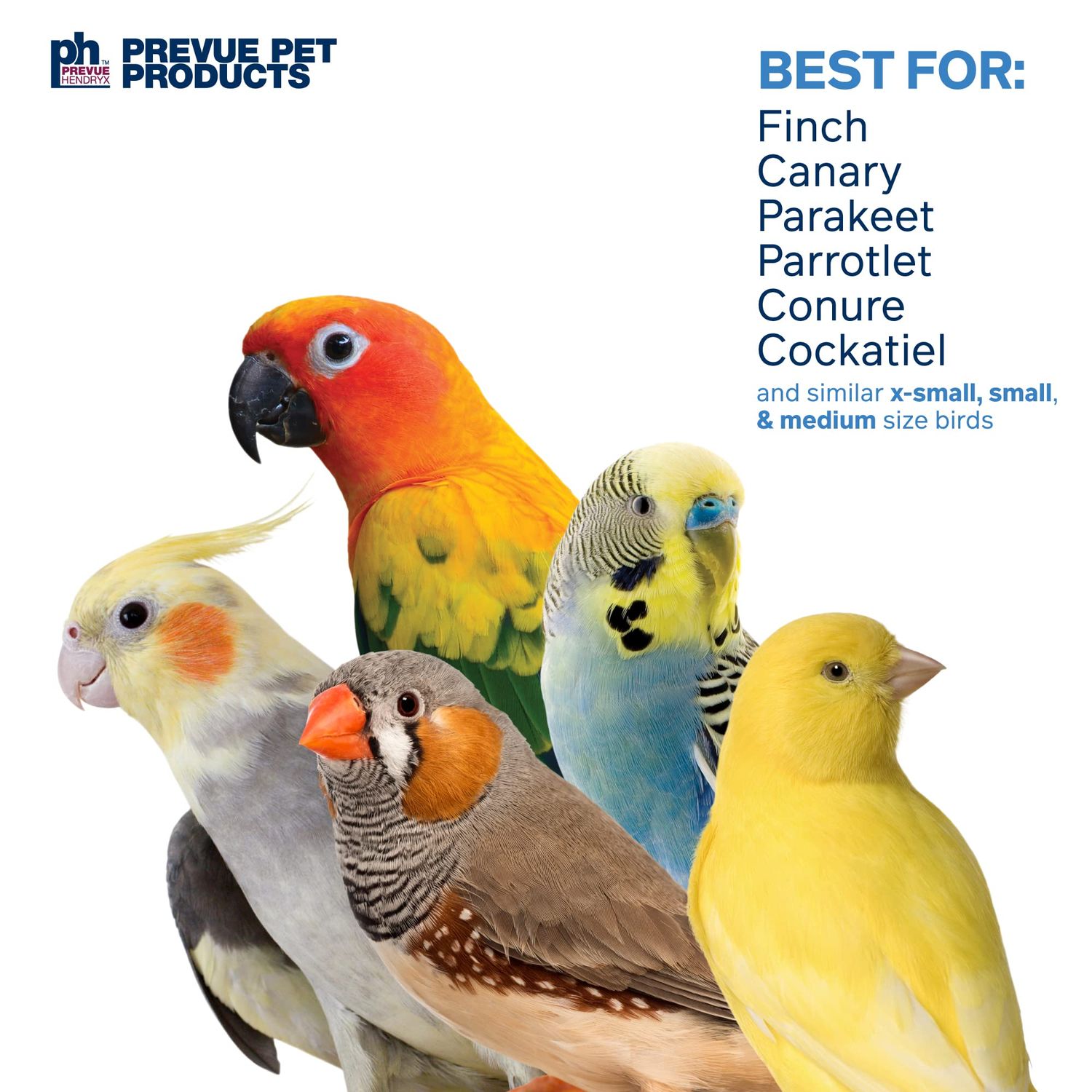 Prevue Pet Products Preen & Pacify Rocket Tails Bird Toy 62676