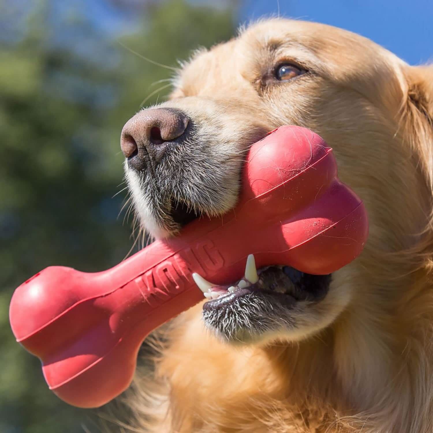 KONG Goodie Bone Durable Chew Toy for Dogs Stuffable Red Rubber Toy 1 Pack