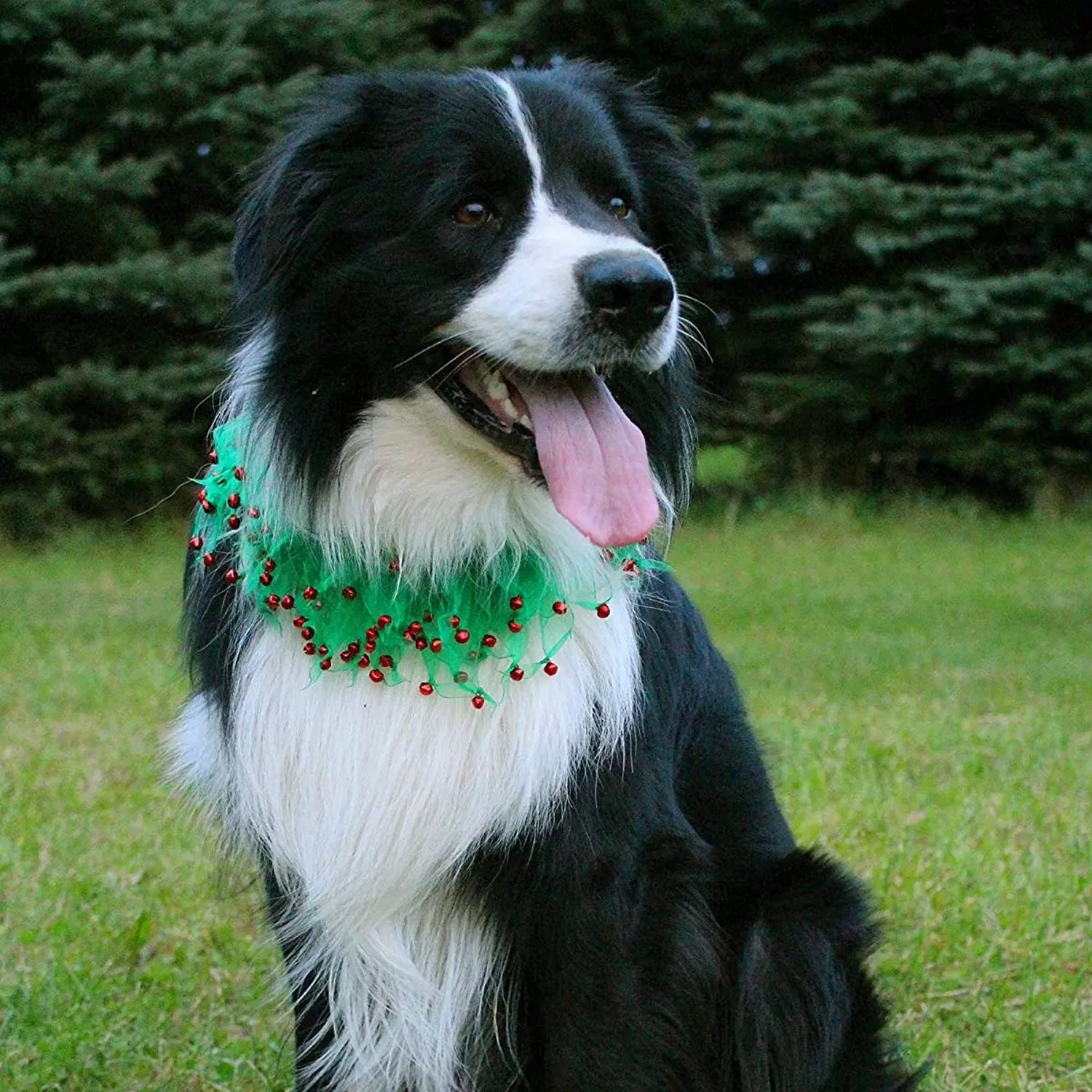 Midlee Wreath Jingle Bell Decorative Dog Collar (Medium)