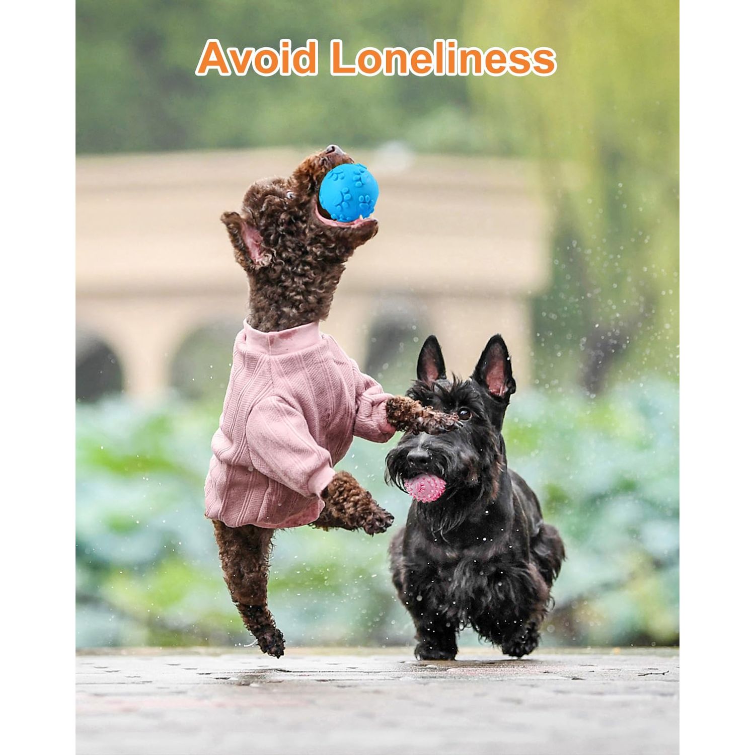 Bestdoggo Puppy Ball Small Dog Toys - 2 PCS Squeaky Dog Toys, Blue Giggle Ball Dog Toy for Puppies, Pink Puppy Teething Chew Toys, Interactive Dog Toys for Small Dog, Small Dog Fetch Ball for Boredom