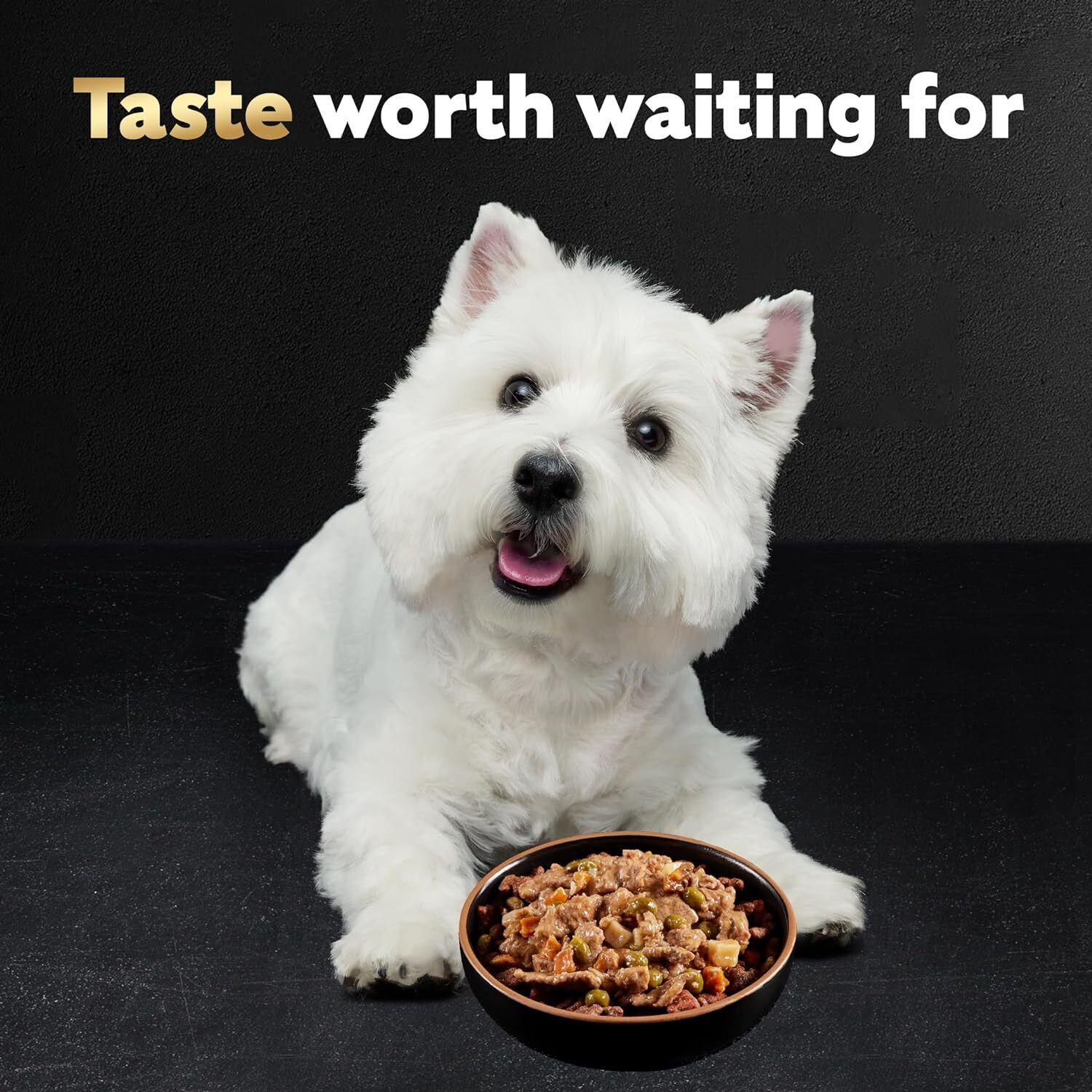 CESAR HOME DELIGHTS Soft Wet Dog Food Hearty Chicken & Noodle Dinner in Sauce,