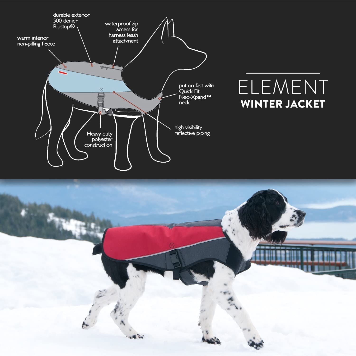 EzyDog Element Best Dog Jacket - Premium Wind and Waterproof Reflective Dog Coat for Safety and Protection - Provides Leash Access to Harness or Collar (Scarlett, Medium)