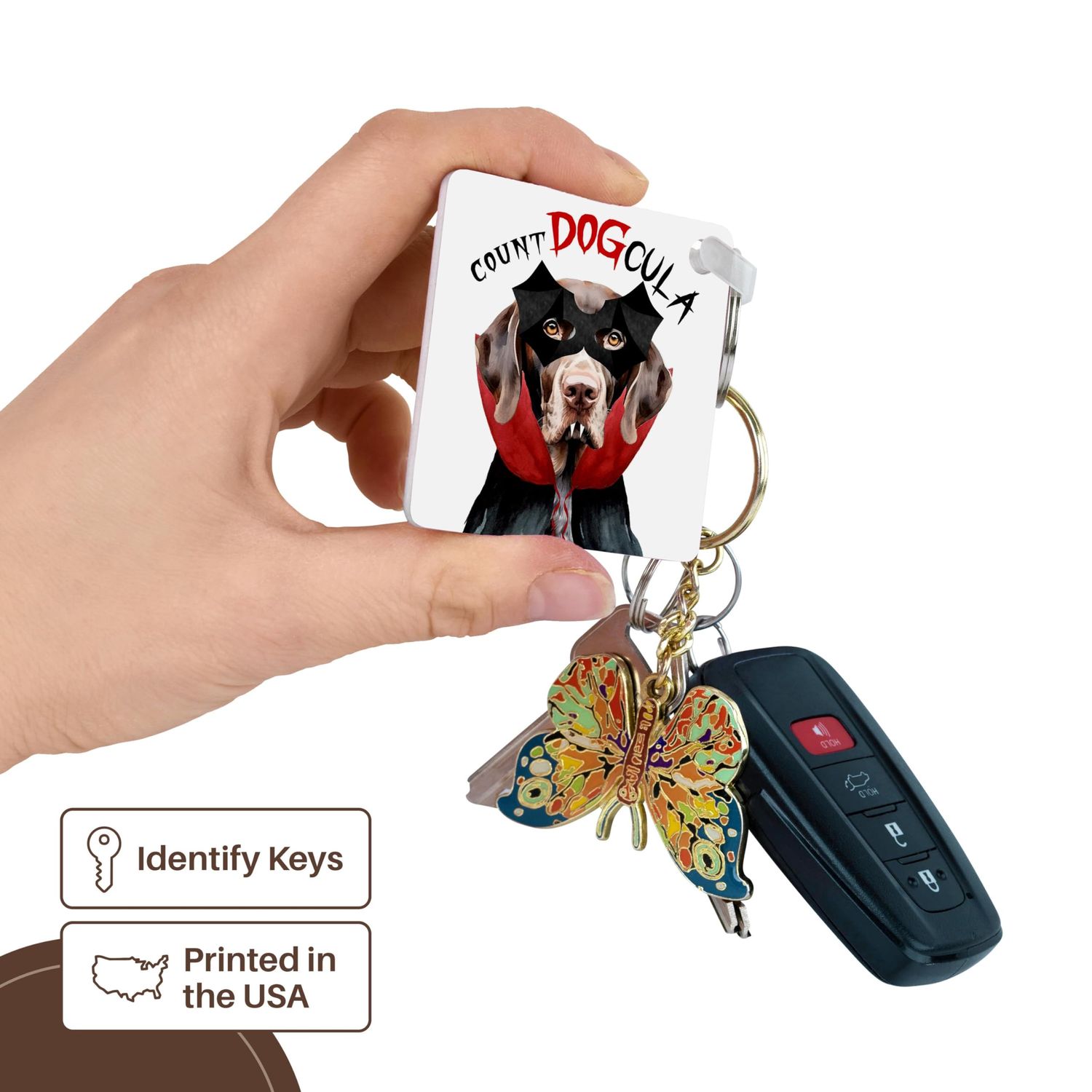 3dRose, Cute Halloween Pointer Dog dressed as Count DOGcula for Treats, set of 4 Key Chains