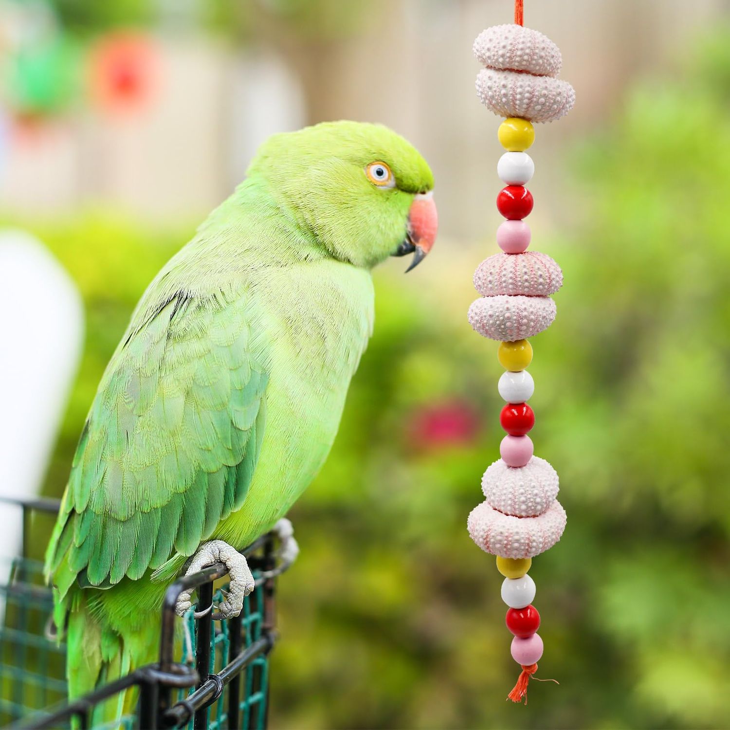 Jinkoozz Bird Chewing Toys, Parrot Beak Grinding Sea ​​Urchin Toy, Bird Cage Accessories, Cage Toys for Cockatiel Parakeet Parrot Budgies Rat Hamster Chinchilla Rabbit Bunny African Grey