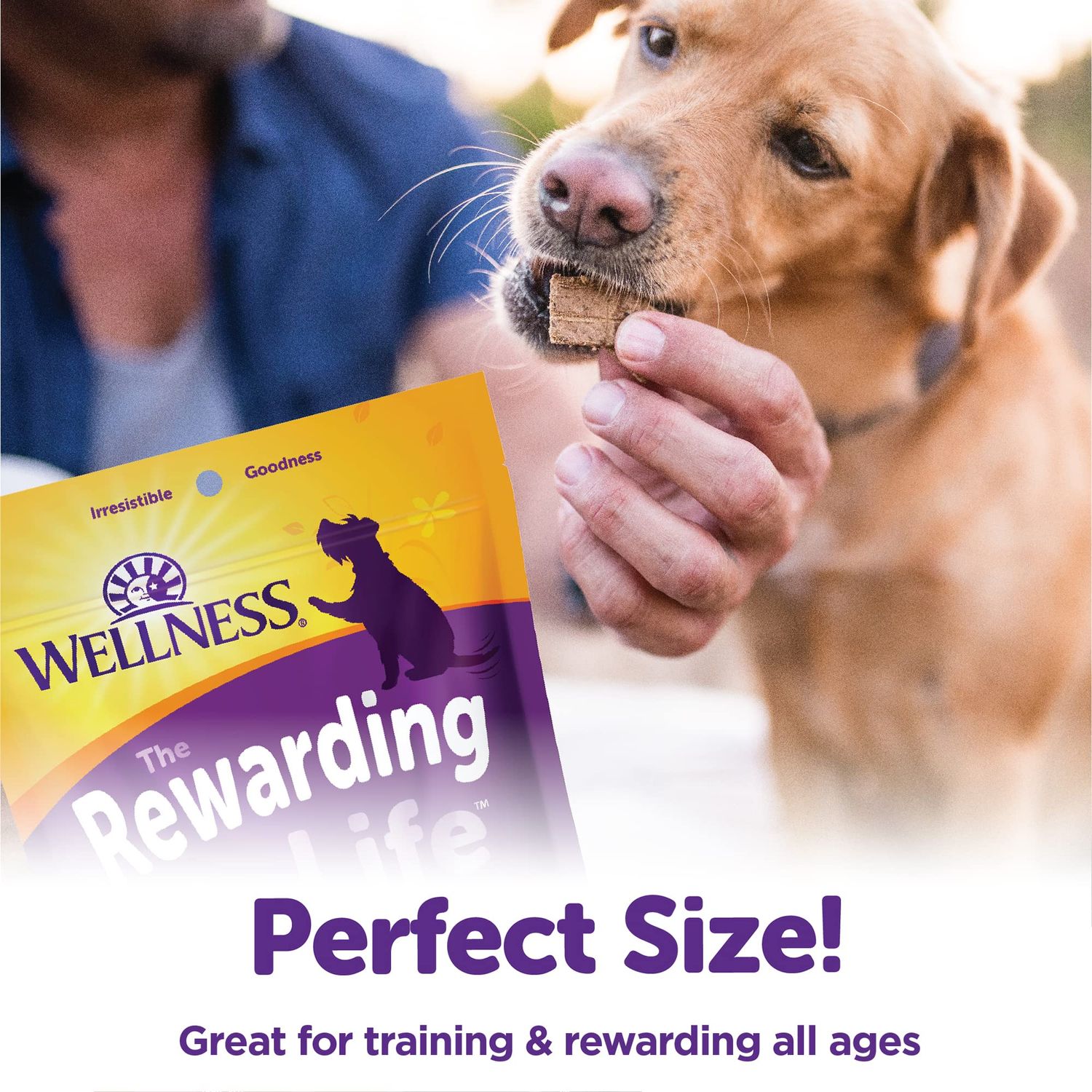 Wellness Rewarding Life Grain-Free Soft Dog Treats, Made in USA with Natural Ingredients, Ideal for Training (Chicken & Venison Recipe, 6-Ounce Bag)