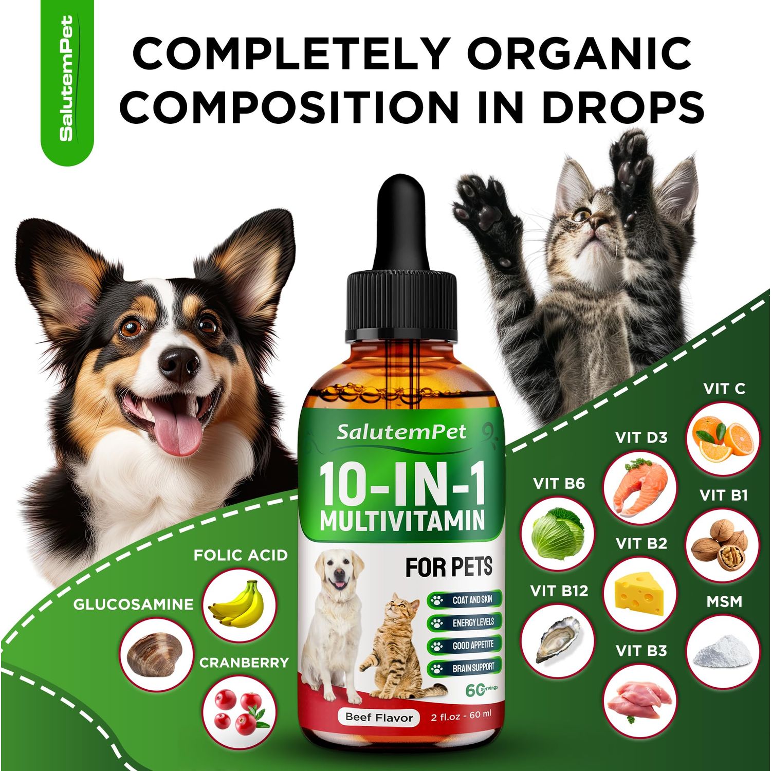 Liquid Multivitamin for Dogs - Multivitamin for Cats - Dog Vitamins and Supplements - Beef Flavor, 2 fl.oz