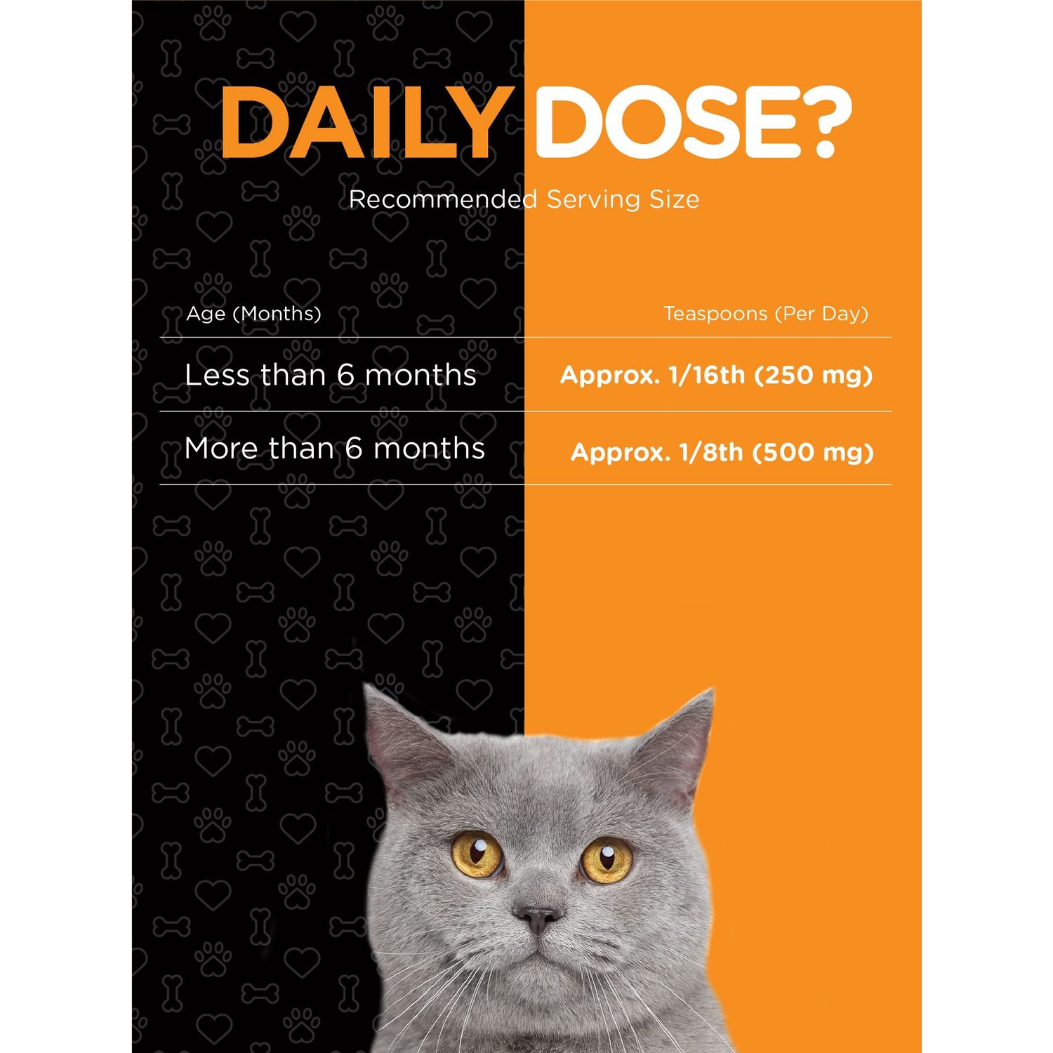 Horbaach L-Lysine Powder for Cats 500mg | 12oz | Cat Health Supplement | Non-GMO, Vegetarian Formula | by River & RULA