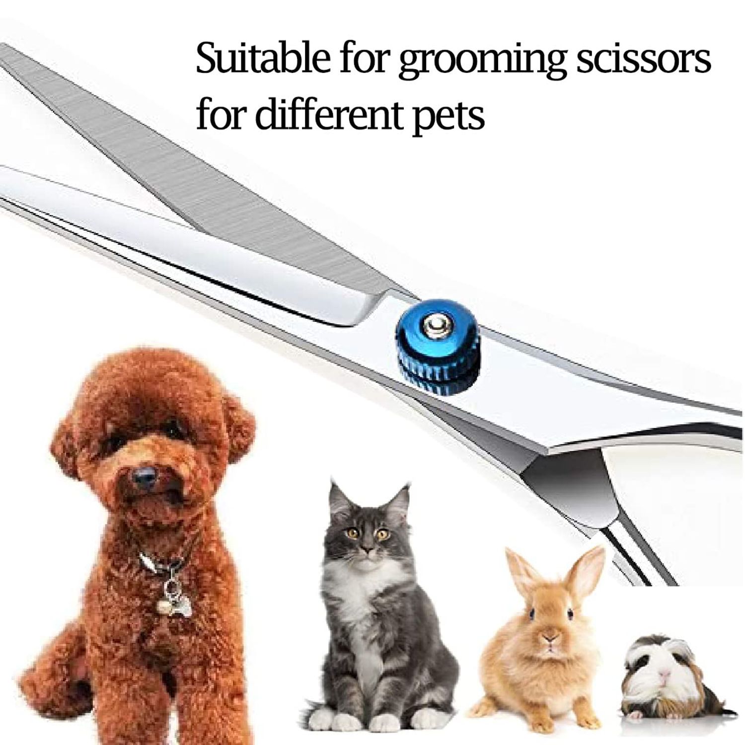 Dog Grooming Scissors,Pet Hair Scissors with Safety Round Tips Heavy Duty Titanium Stainless Steel Professional Dogs Cats Pets Grooming Shears