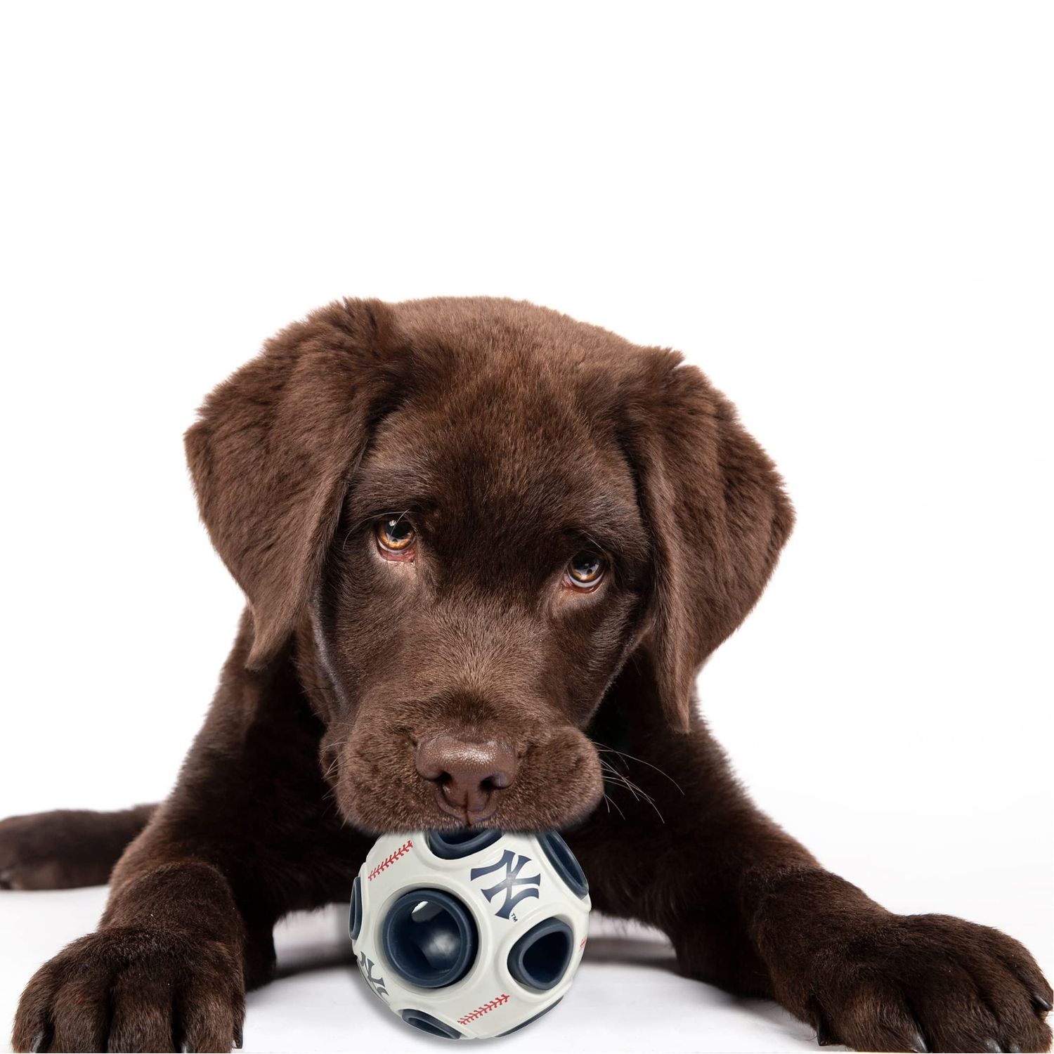 Pets First MLB New York Yankees Baseball Treat Dispensing Toy for Dogs and Cats, Rubber Ball Dog Toy, Interactive Fun Dog Treat Toy, Natural Rubber Dog Feeding Toy