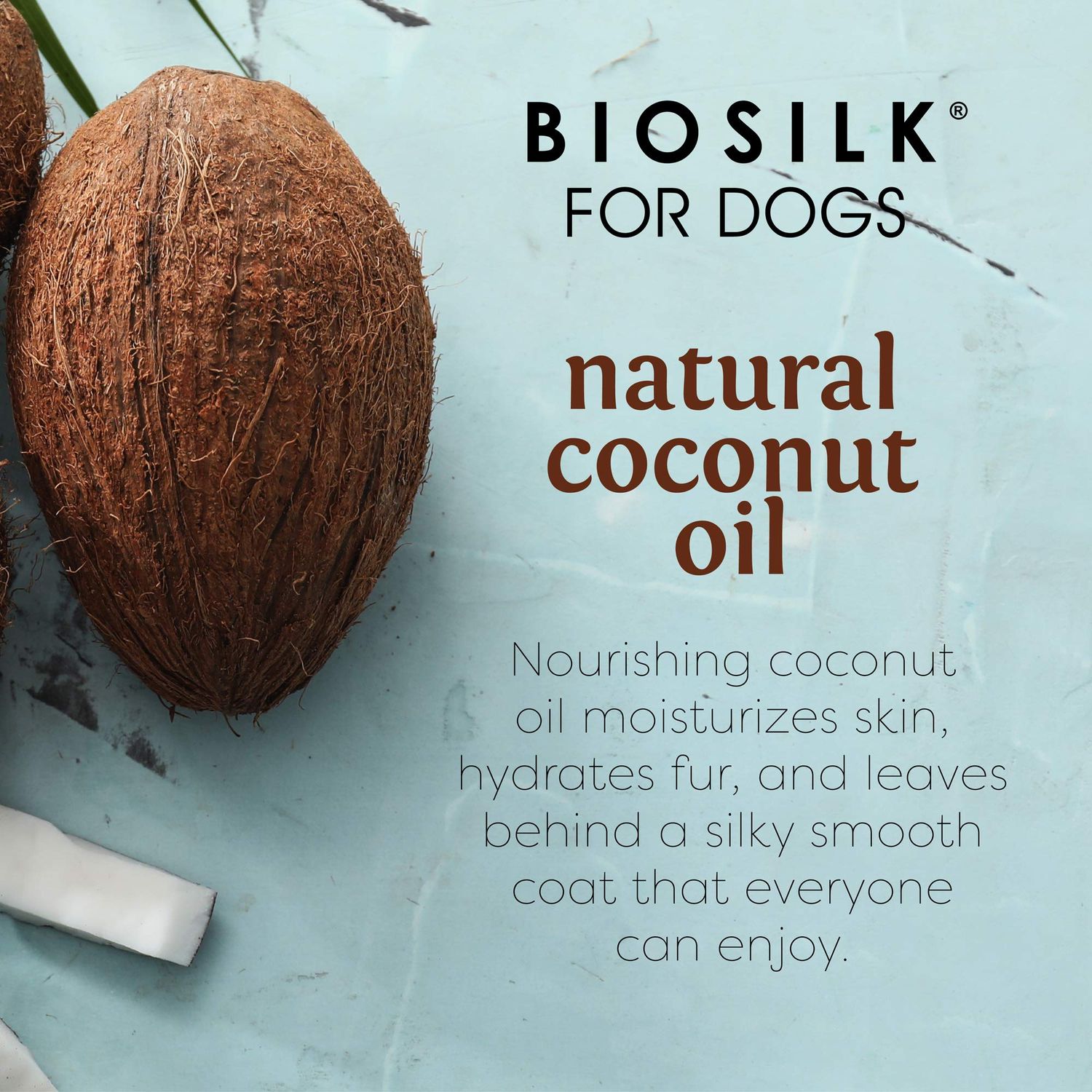 BioSilk for Dogs Silk Therapy Shampoo with Natural Coconut Oil | Coconut Dog Shampoo, Sulfate and Paraben Free Natural Shampoo for Dogs, 12 Fl Oz Made in The USA,Beige
