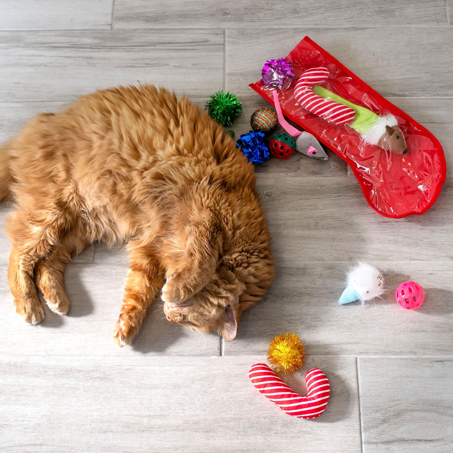 Midlee Christmas Stocking Cat Toy Gift Set (14 Toys)- Candy Canes, Bells, Mice Kitten Holiday Toys