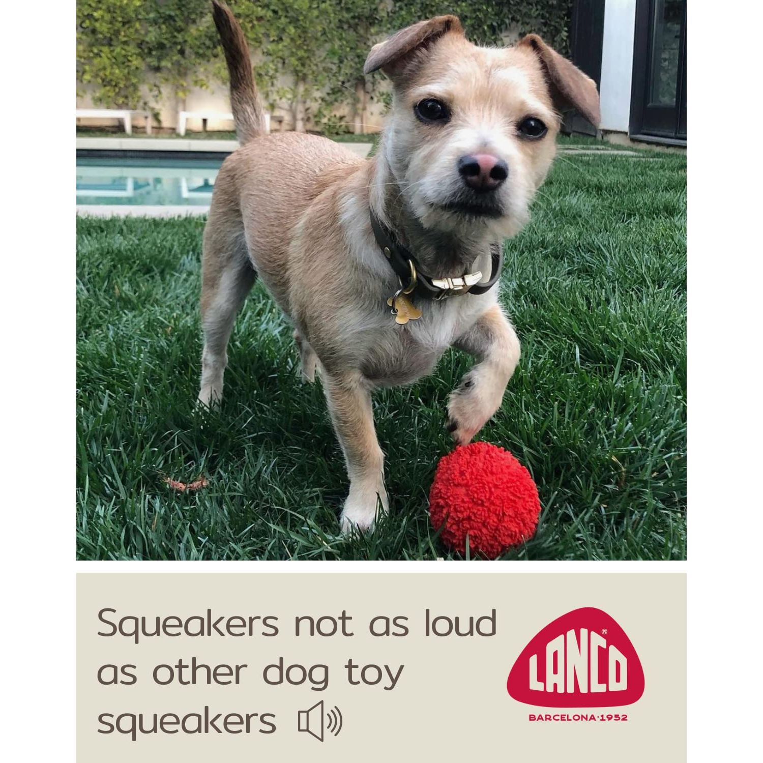 Set of 2 Squeaky Rubber Balls for Puppies - 3" - Sensory Dog Toys - Soft Natural Rubber (Latex) - Puppies Small Breeds - Comply with Same Safety Standards as Baby Toys