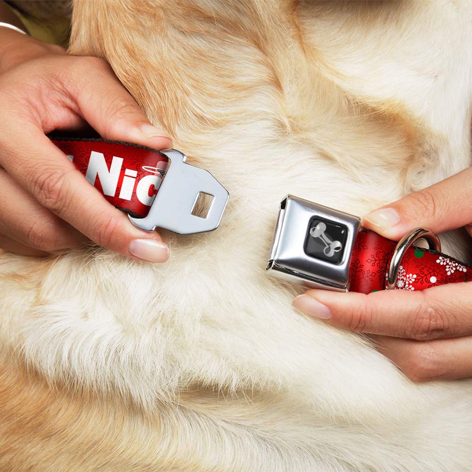 Buckle-Down 18-32" Christmas Naughty Or Nice/Snowflakes Reds/White/Green Dog Collar Bone, Wide Large