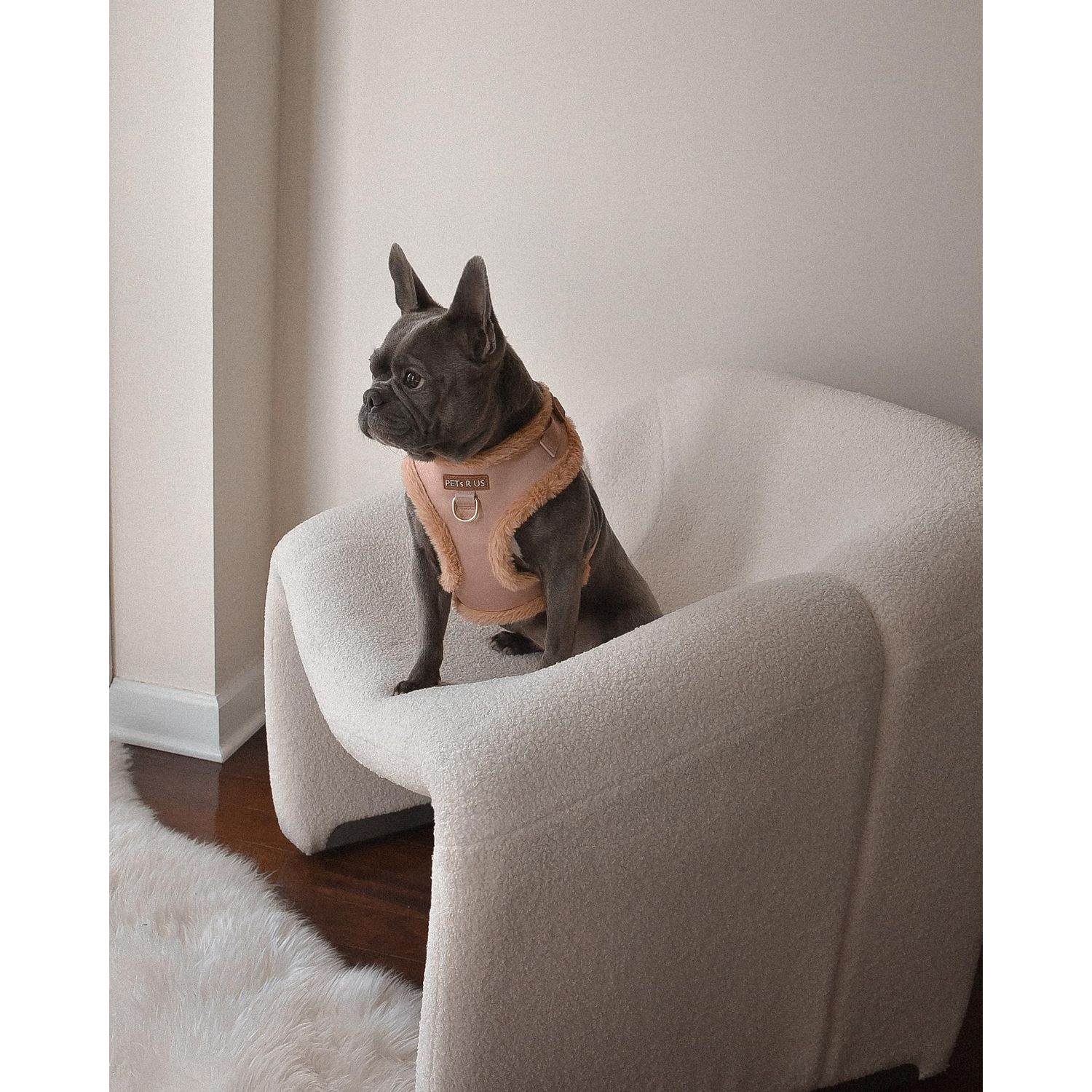 Premium No Pull Adjustable Dog Harness Neoprene Luxury Breathable Lightweight Small Medium Dogs Comfortable Puppy Training Vest 2 Leash Clips Walking & Control (Beige Fur Trim, S)