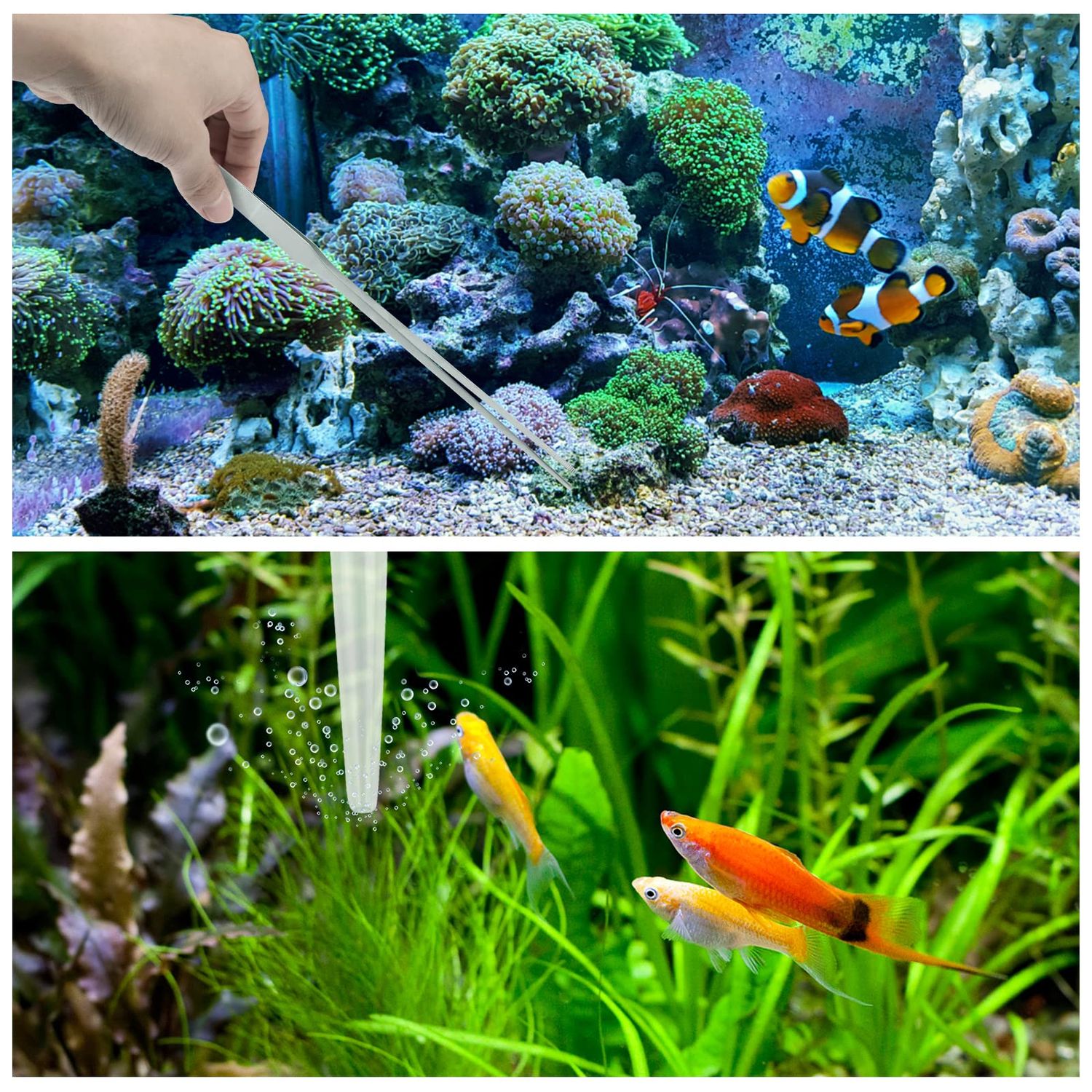 PietyPet Fish Tank Cleaning Tools, 6 pcs Aquarium Cleaning Tools, Feeder Tools Kit, Aquarium Plants Cleaner, Algae Scraper for Glass Aquariums