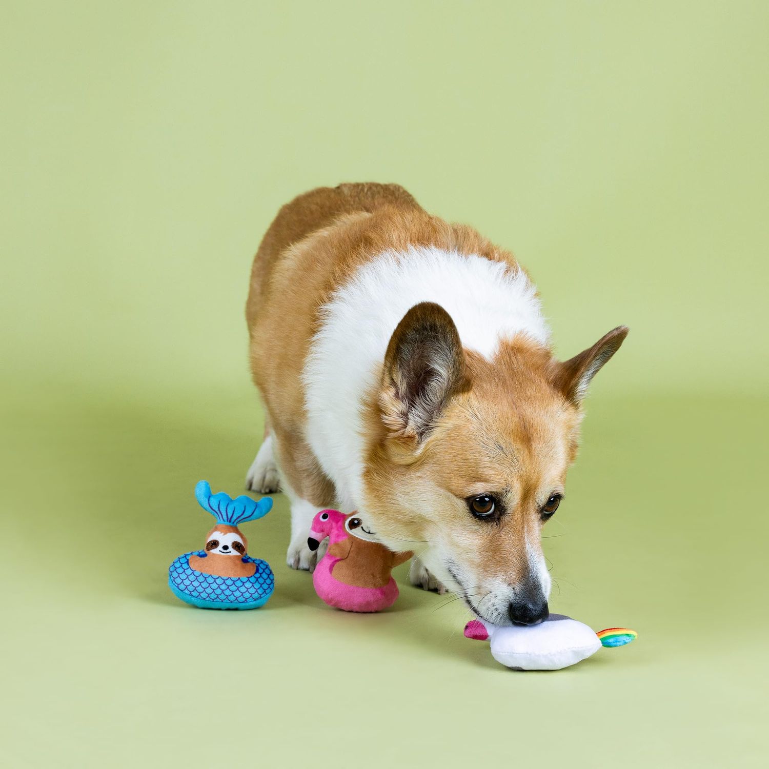 Fringe Studio "JUST Keep Floating, Set of 3, Small Plush Dog Toy Set, Pet Shop Collection (662135)