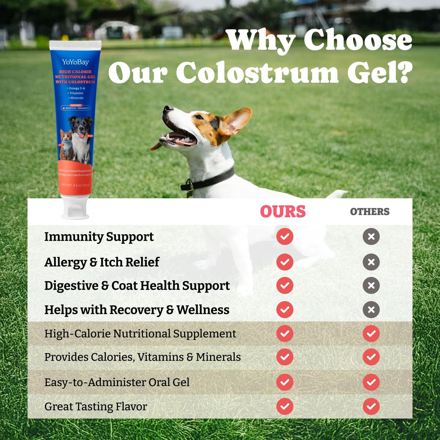 YoYoBay Bovine Colostrum Nutritional Gel for Dog & Cat - Immune Support, Digestive Health & Skin Care, Dog Allergy Relief, High Calorie Supplement for Dogs and Cats, Dogs Weight Gainer