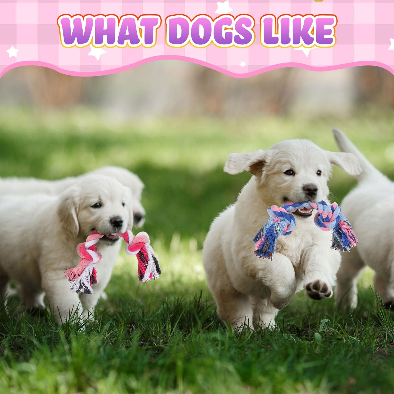 Paterr 12 Pcs Rope Dog Toys Multi Color Puppy Rope Toy Cotton Puppy Toys Dog Chew Rope Puppy Teething Toys for Small and Medium Dogs Puppies