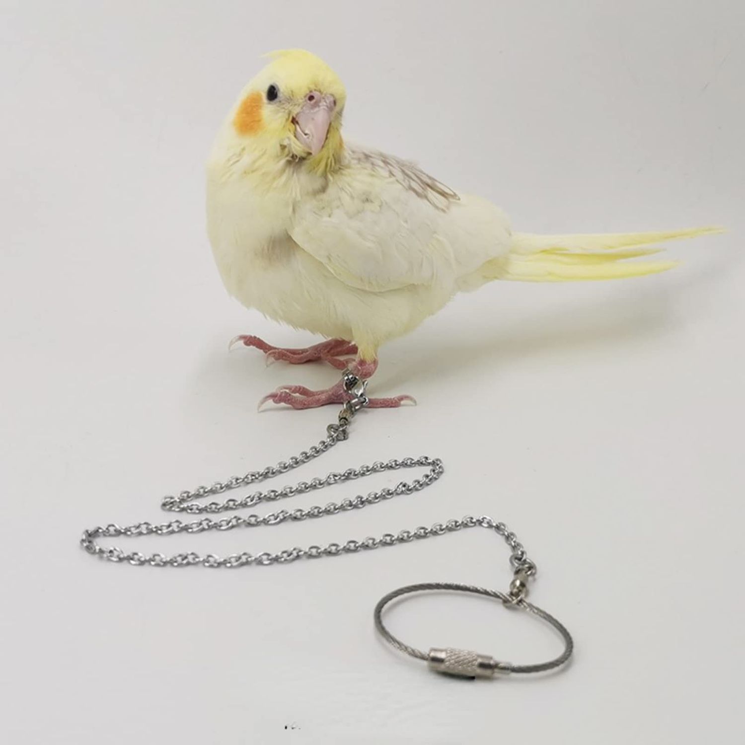Bird Foot Chain Flying Stainless Steel Training Rope Outdoor Parrot Ankle Foot Ring Accessories Bird Harness Leash Prevent Escaping (Model7)