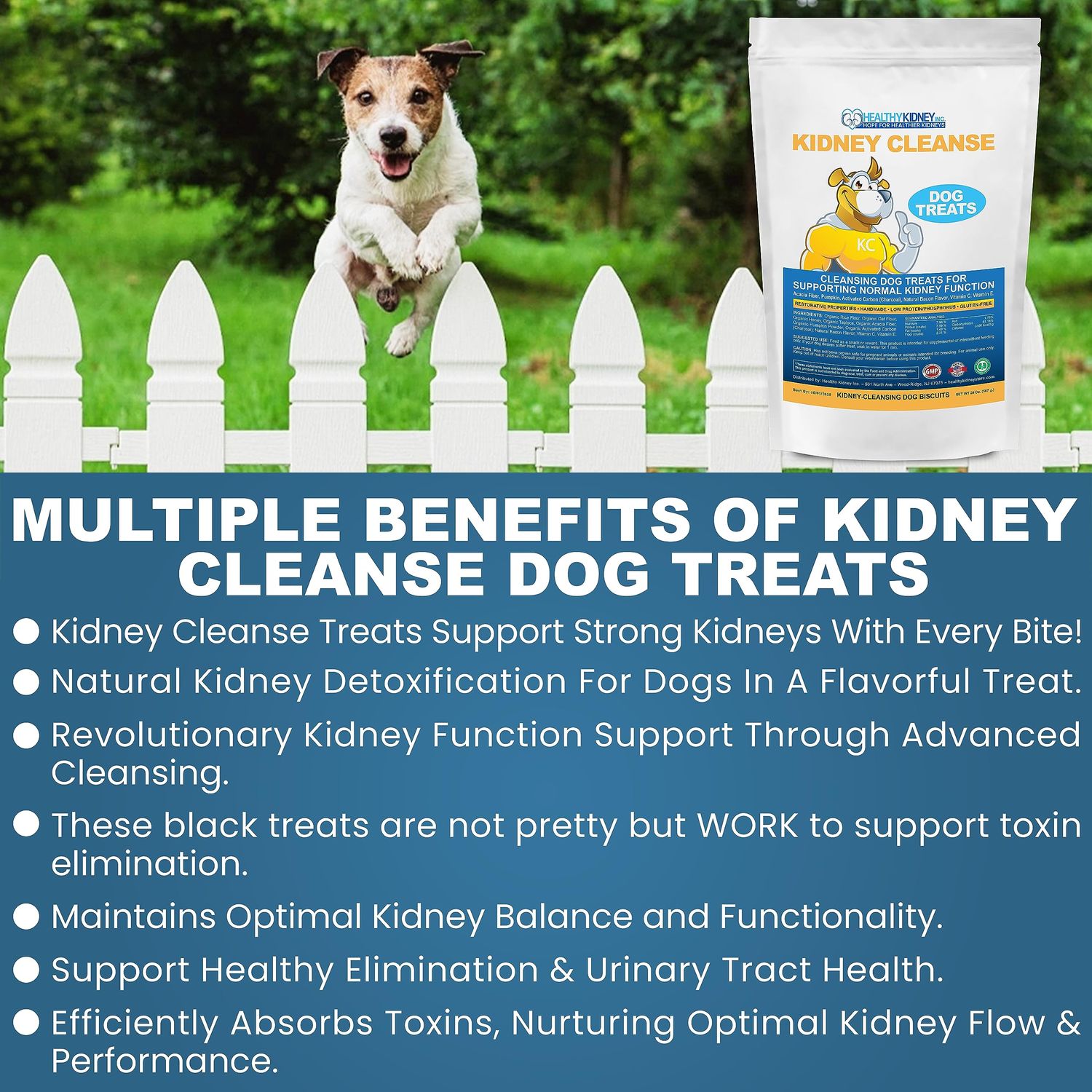 Petite Size Beef Flavor Kidney Cleanse Dog Treats 20 Oz - Kidney Support Formula for Toxin Elimination - Low Protein & Phosphorus Diet Snacks - Ideal for Kidney Wellness