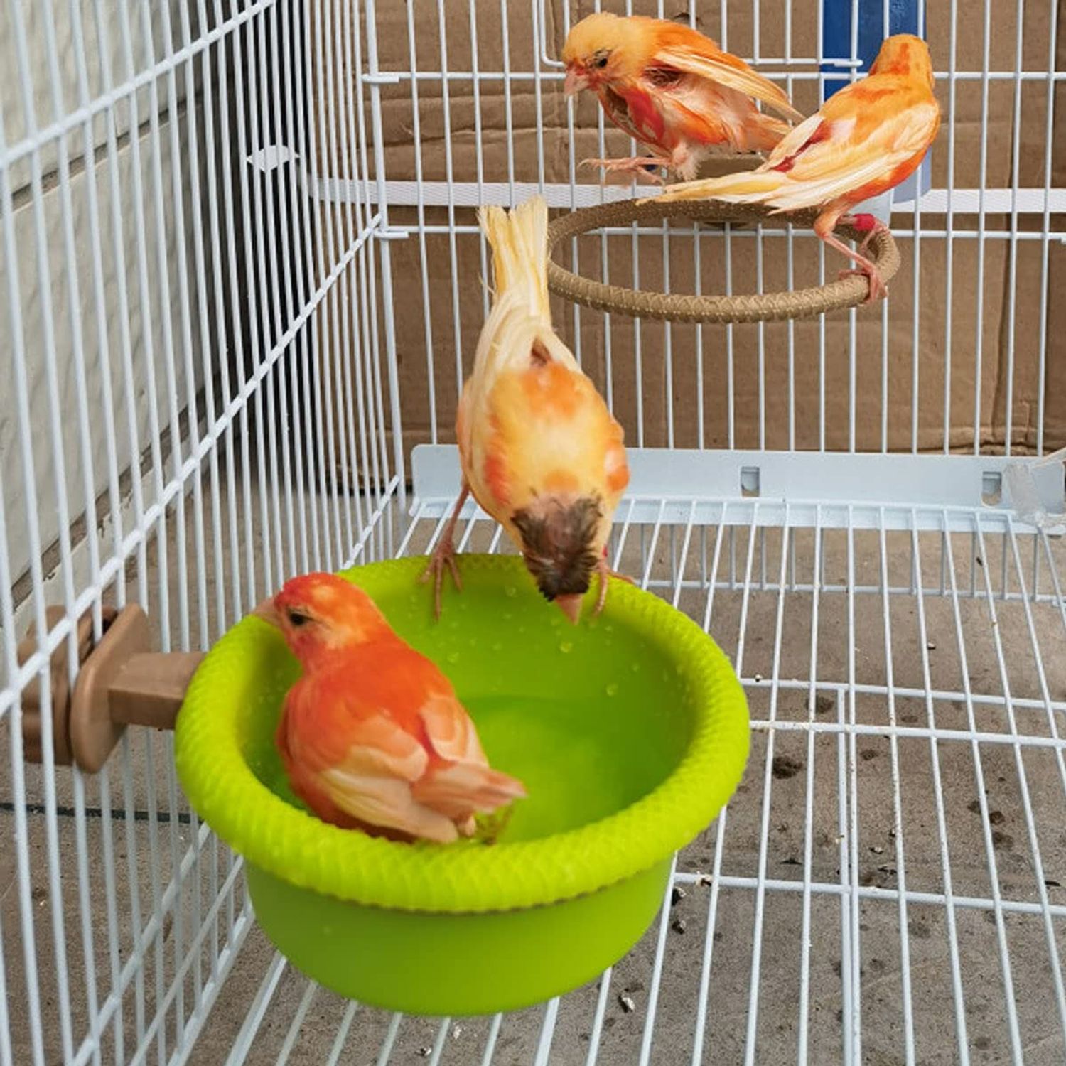 FOIBURELY Multi-Function Caged Bird Bath Bird Cage Parrot Supplies Bathing Tub for Canary Finch Budgerigar，Perch Stand(4.5")
