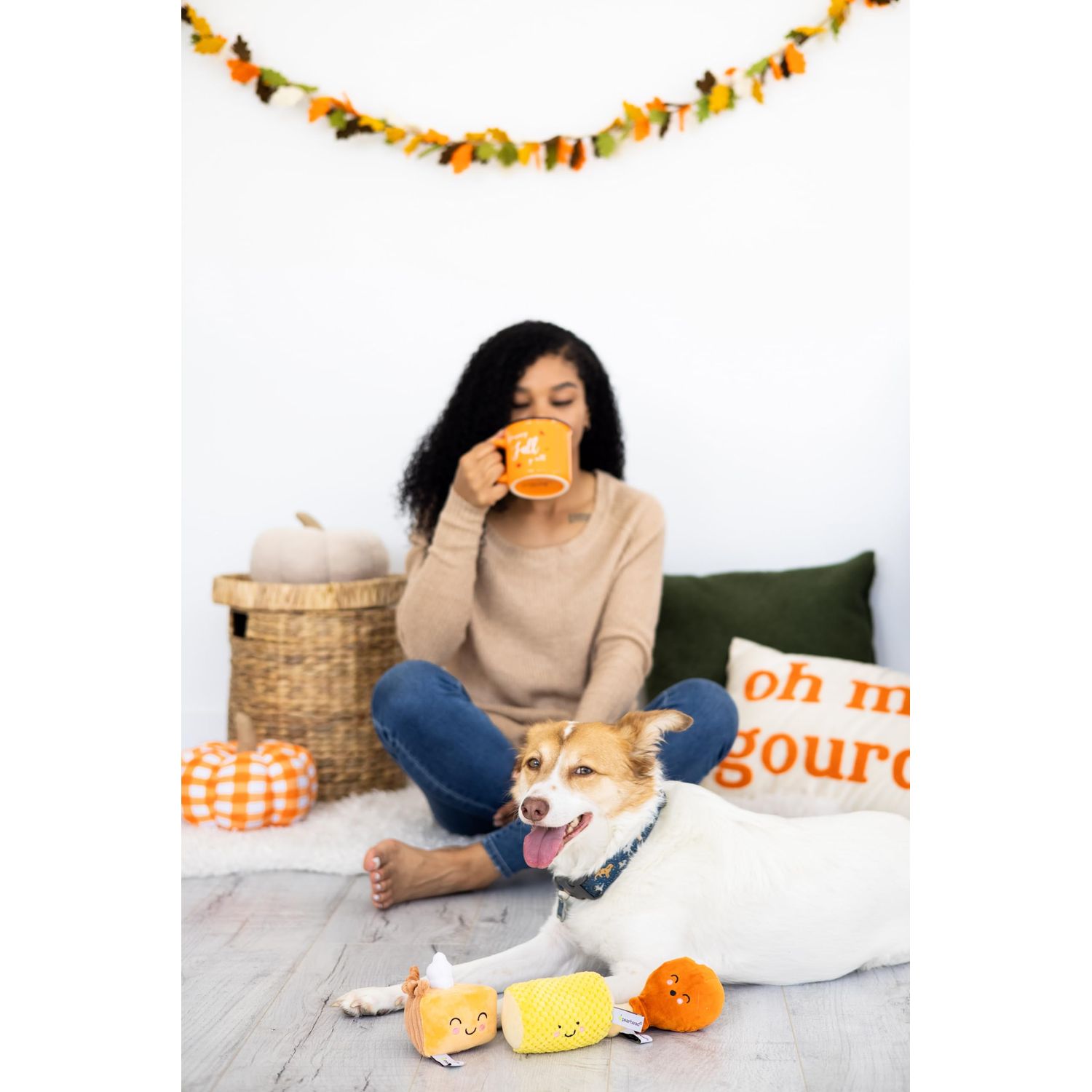 Pearhead Thanksgiving Dinner Dog Toys, Set of 3, Plush Dog Toys, Squeaky Dog Toy, Pumpkin Pie and Turkey Leg Toy, Fall Pet Toys