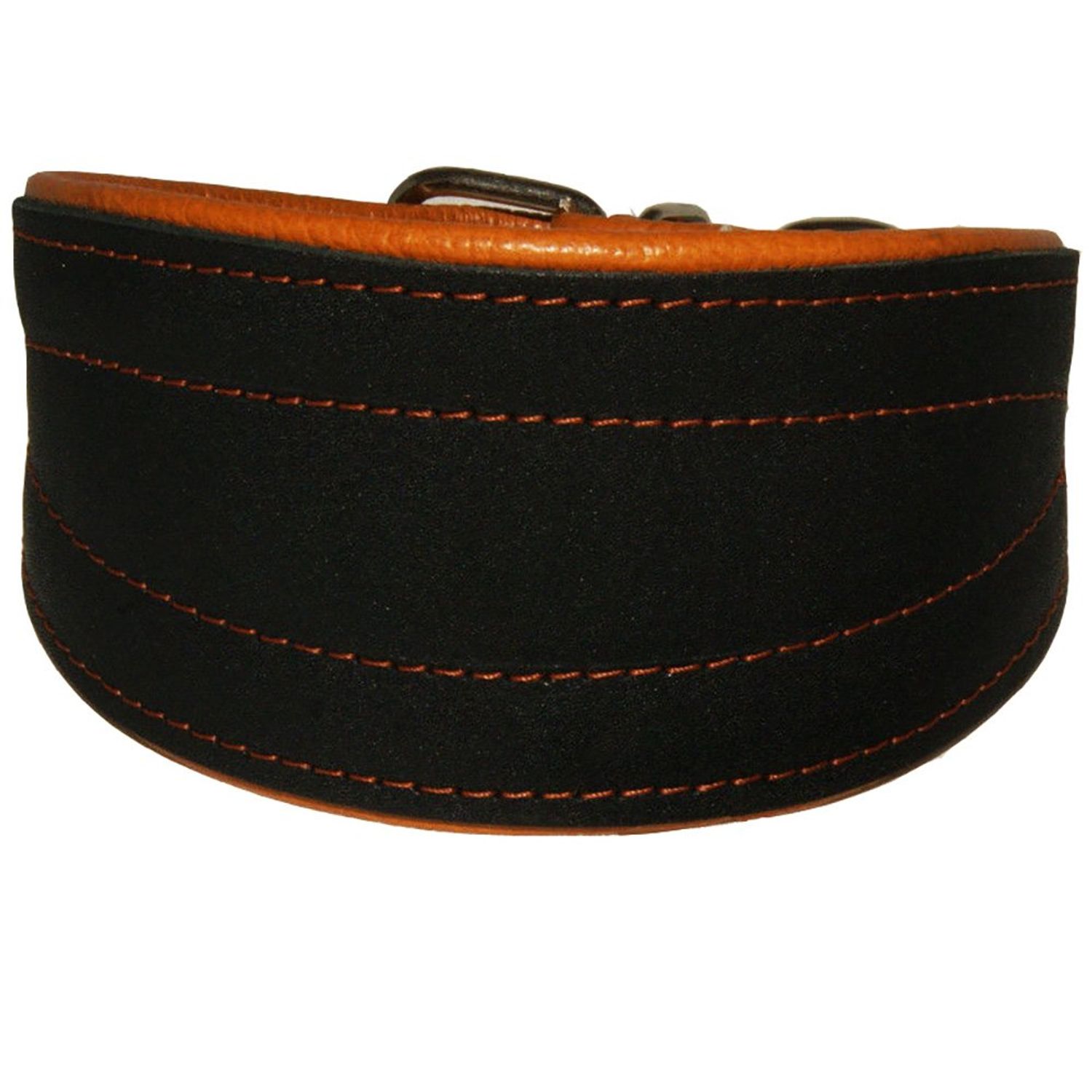 Real Leather Extra Wide Padded Tapered Dog Collar Glossy Black Greyhound Saluki Deerhound Lurcher Whippet Dachshund (11"-13" Neck; 2" Wide, Toffee)