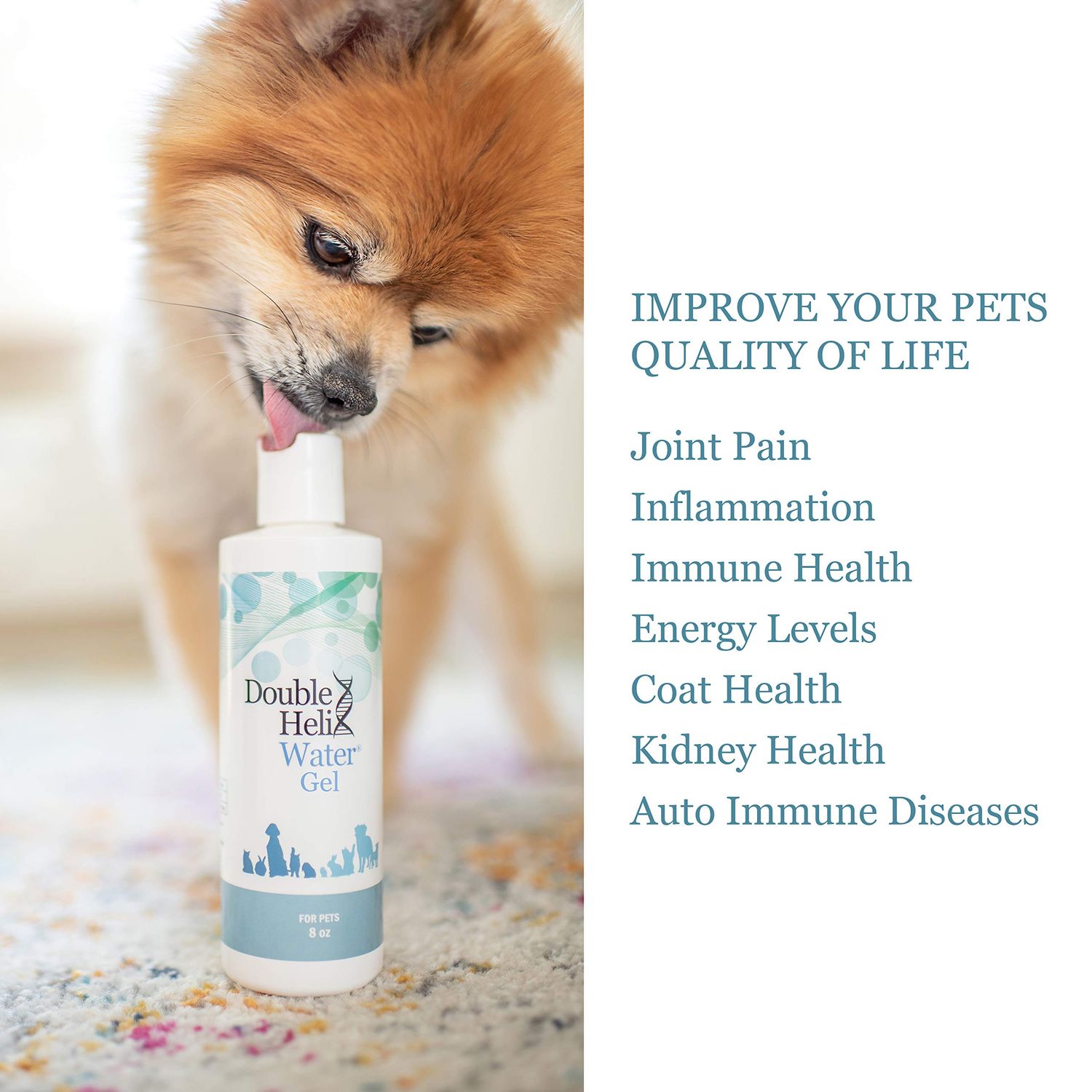 Double Helix Water for Pets, Joint Supplement for Dogs, Cats & Pets - Helps Improve Digestion & Coat Health, Reduces Inflammation, Cat & Dog Vitamins in a Grassfed Non-GMO Beef Gelatin Base (8 oz)