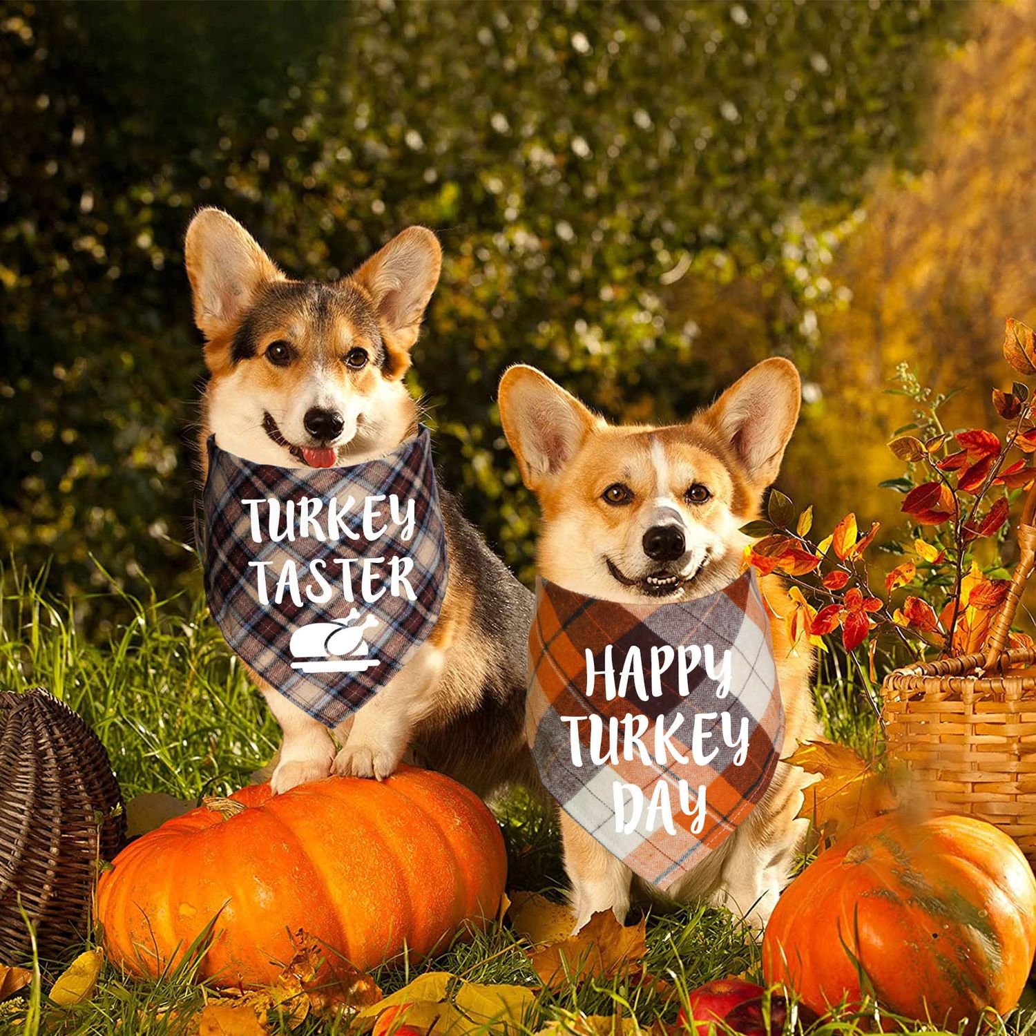STMK Thanksgiving Day Dog Bandanas, 2 Pack Holiday Fall Plaid Dog Bandanas Scarf for Holiday Fall Halloween Thanksgiving Day Dog Puppy Costume (Turkey Taster & Happy Turkey Day)