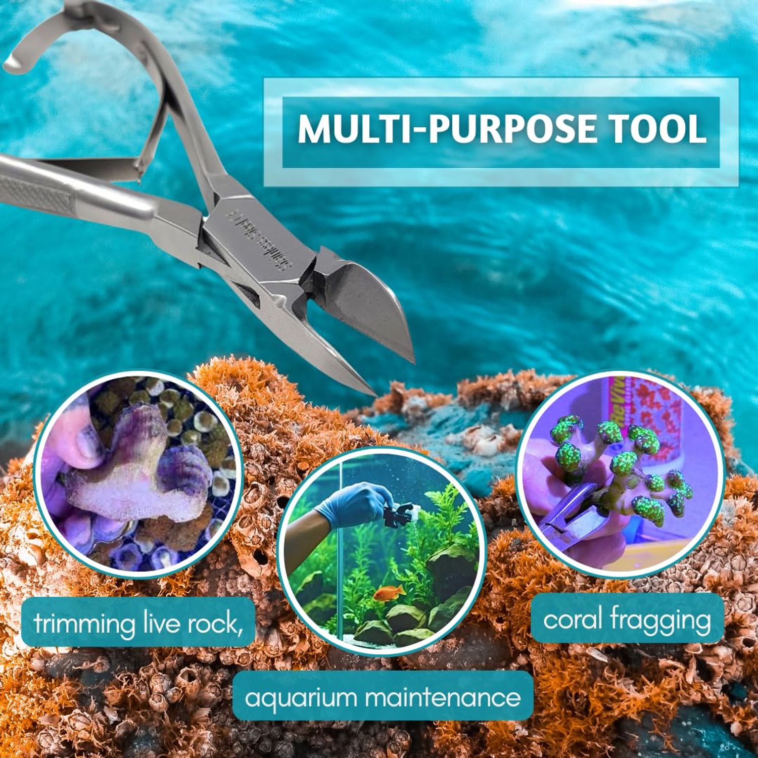 IMED SCIENTIFIC Marine Coral Reef Cutter Shears 6" Stainless Steel Trimmer with Spring Barrel for Fragging and Reef Aquarium Maintenance
