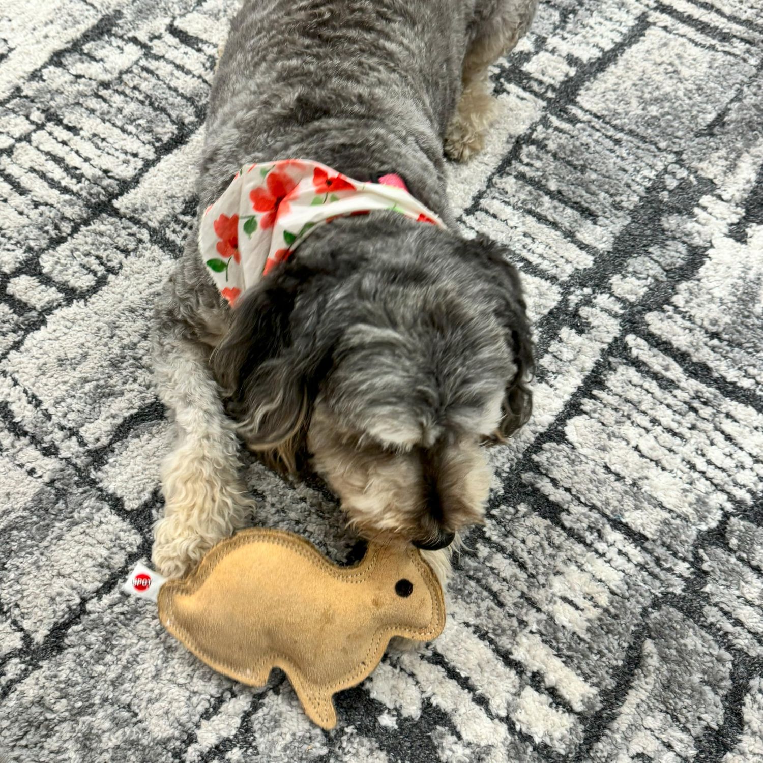 SPOT Dura-Fused Leather Rabbit - Durable Dog Toy with Squeaker, Real Leather & Jute Fabric, Interactive Toy for Moderate & Aggressive Chewers, Small and Medium Dogs and Puppies, 7.5in