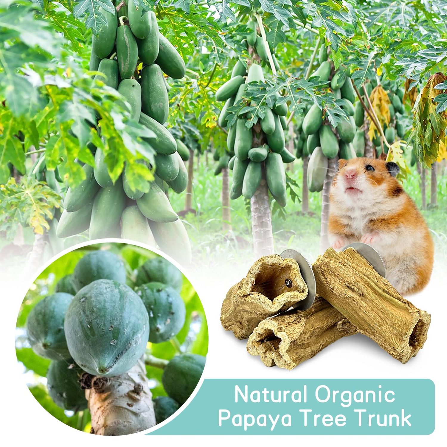 Fhiny Rabbit Chew Toys, 3 PCS Hanging Natural Papaya Wood Chew Sticks Guinea Pig Treats for Dental Care Small Animal Molar Snacks Bunny Treats for Rabbits Guinea Pigs Chinchillas Hamsters Gerbils