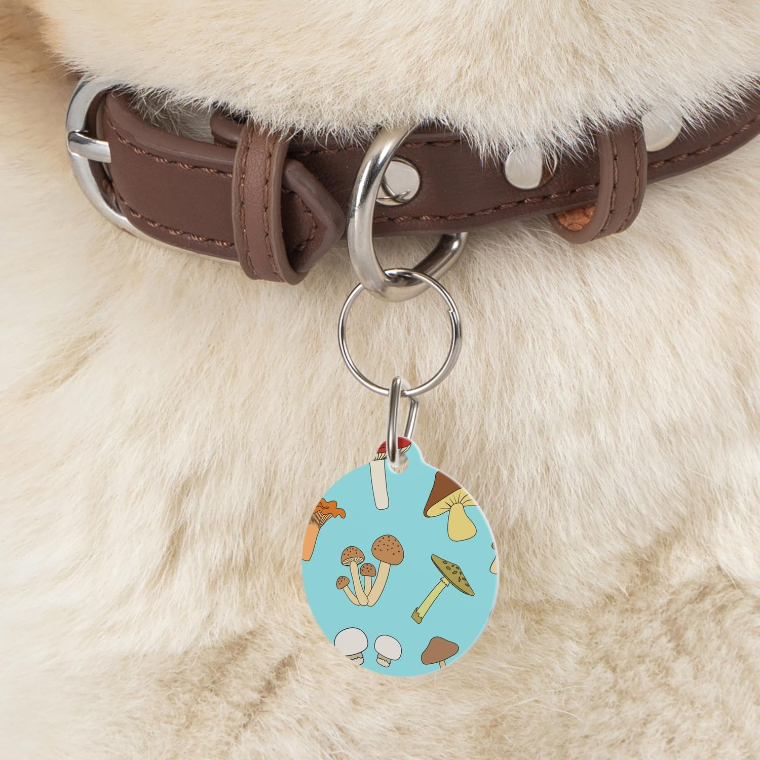 Create Your Own Pet ID Tag Upload Your Image