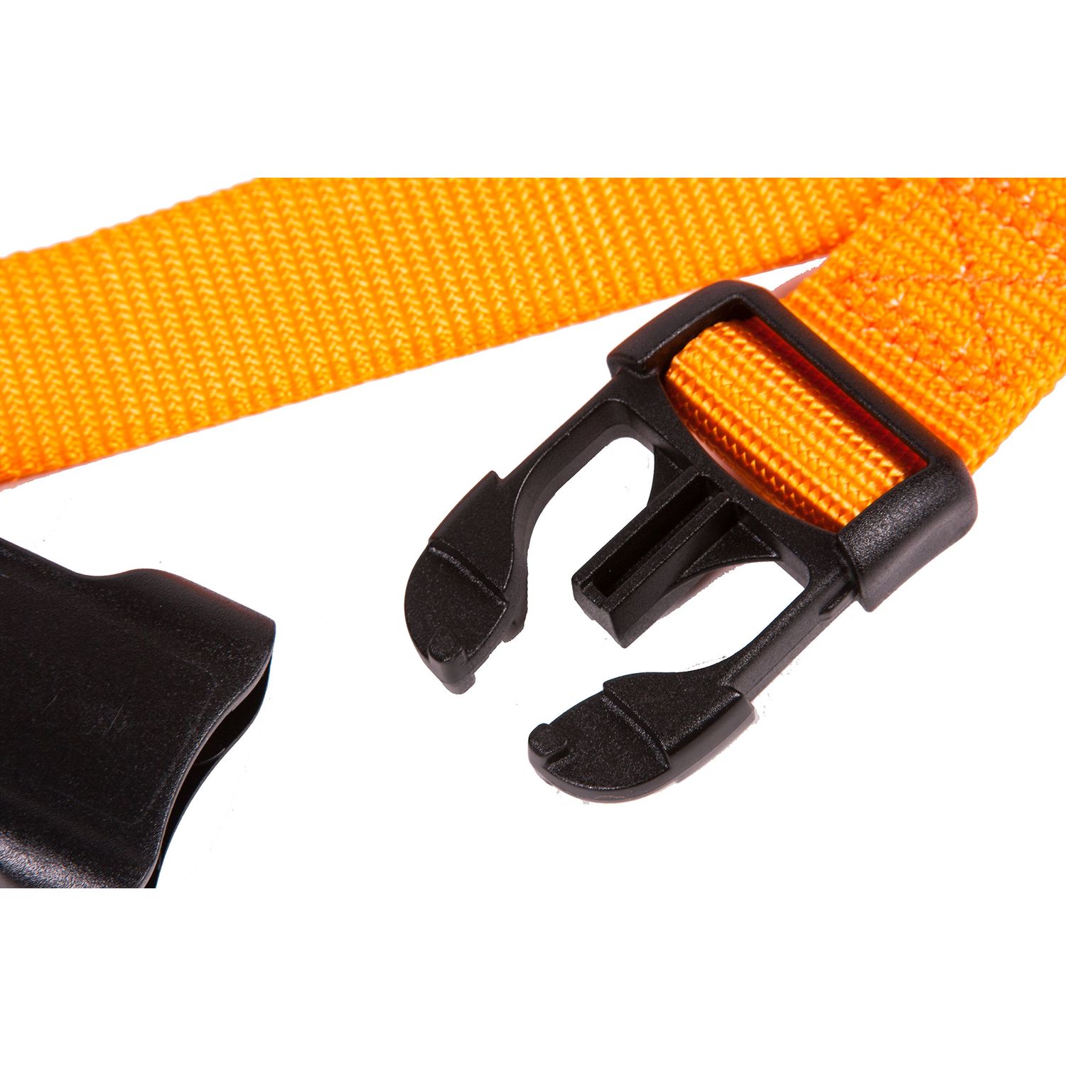 GoGo Pet Products GoGo 3/4-Inch Martingale Dog Collar, Medium, Orange