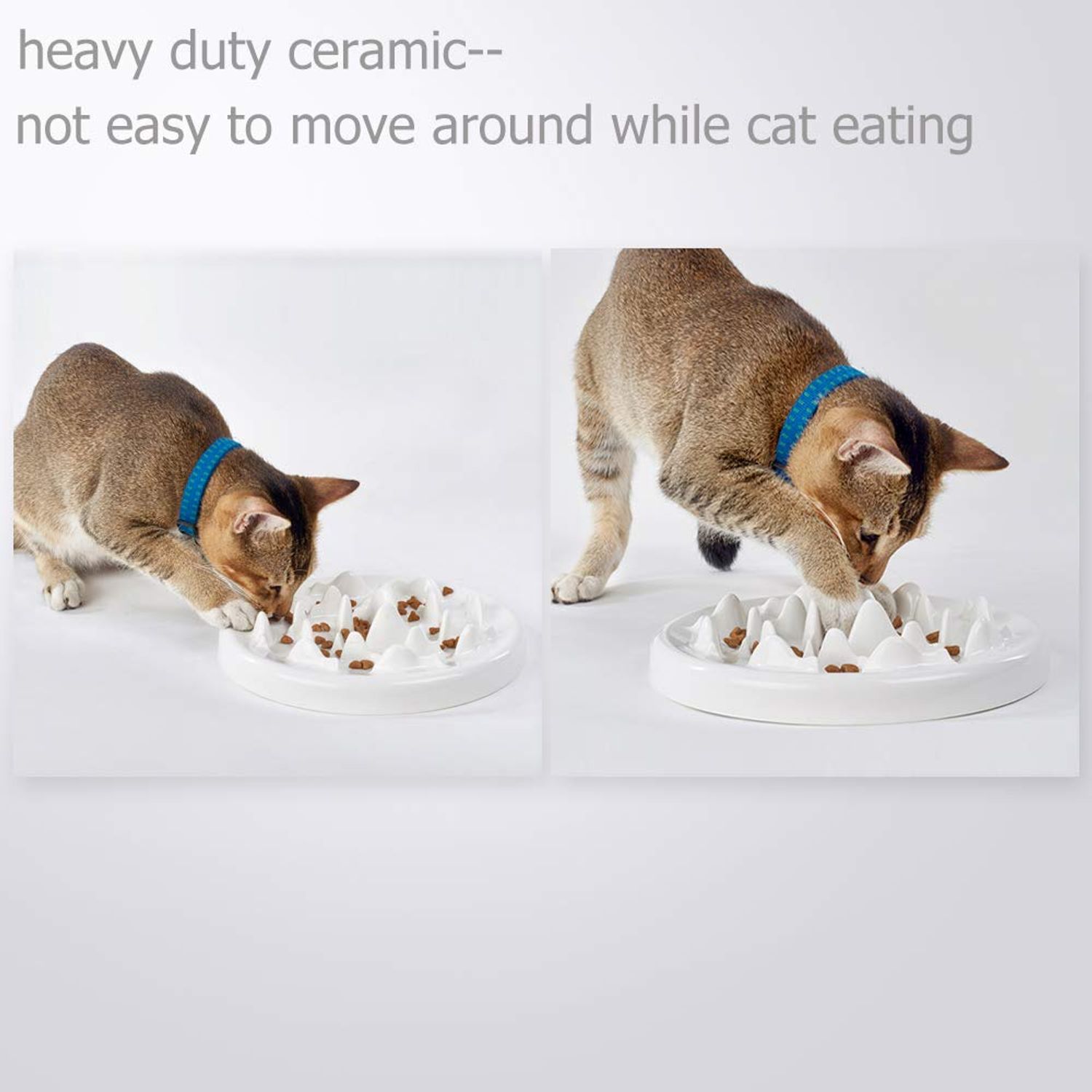 Lorde Slow Feeder Cat Bowls, Ceramic Fun Slow Feed Interactive Bloat Stop Puzzle Cat Bowl Healthy Eating Diet Pet Dog Slow Feeding Bowls…
