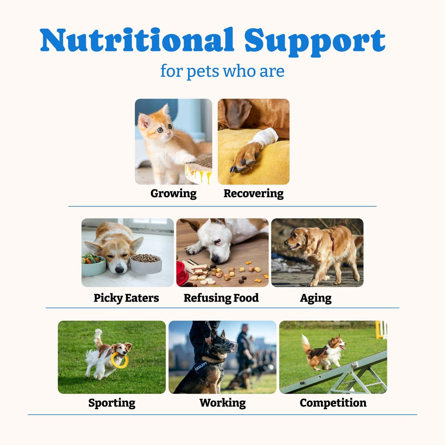 YoYoBay Bovine Colostrum Nutritional Gel for Dog & Cat - Immune Support, Digestive Health & Skin Care, Dog Allergy Relief, High Calorie Supplement for Dogs and Cats, Dogs Weight Gainer