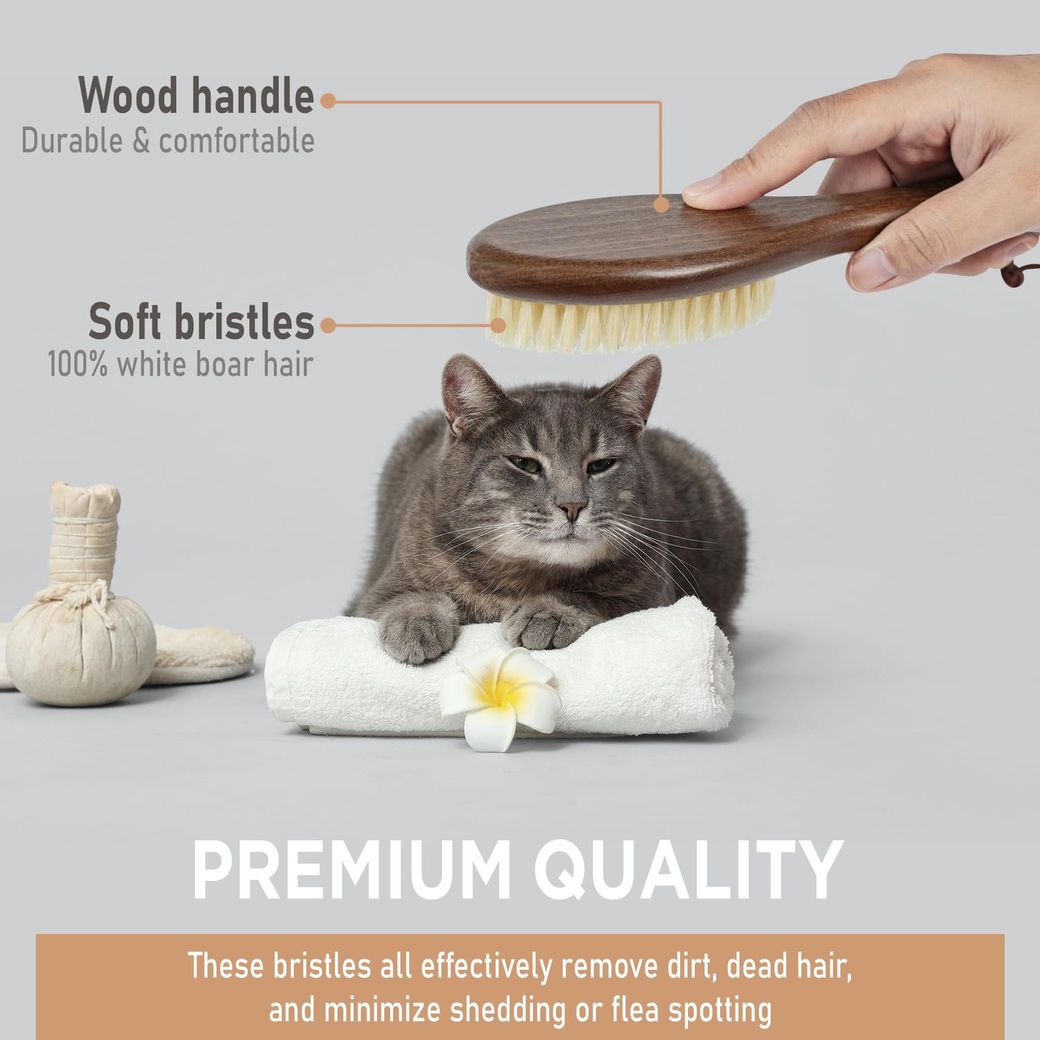 Takavu Boar Bristle Cat Hair Brush, Pet Grooming Brush with Natural White Bristles and Wooden Handle for Sensitive Skin, Pet Cleaning Supplies Keeping Your Cat's Fur Hair Coat Healthy and Shiny