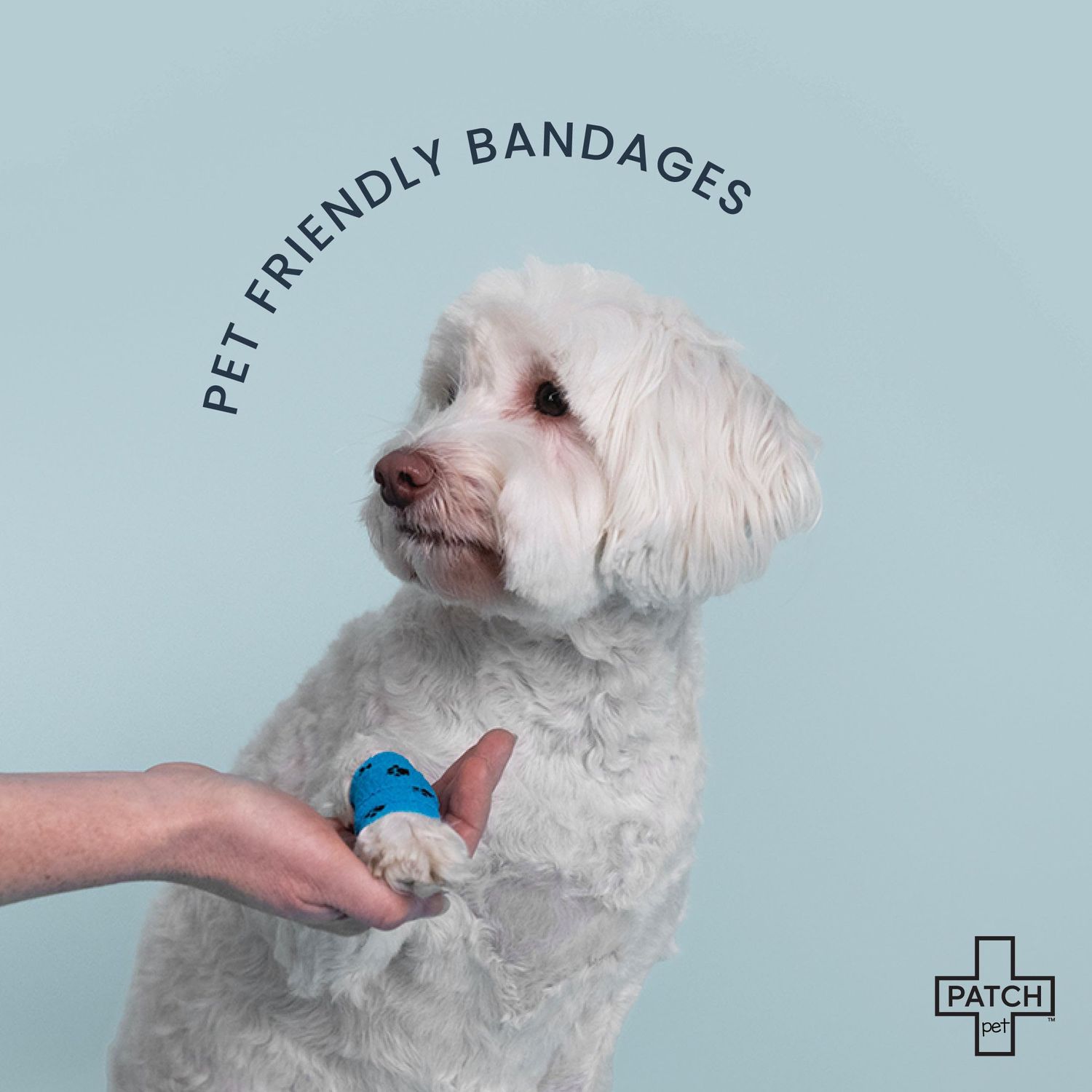 PATCH Eco Pet First Aid Kit for Dogs and Cats. Cat and Dog First Aid Kit with Bandages, Gauze Pads & Glove. Emergency First Aid Kit for Animals Including Puppy