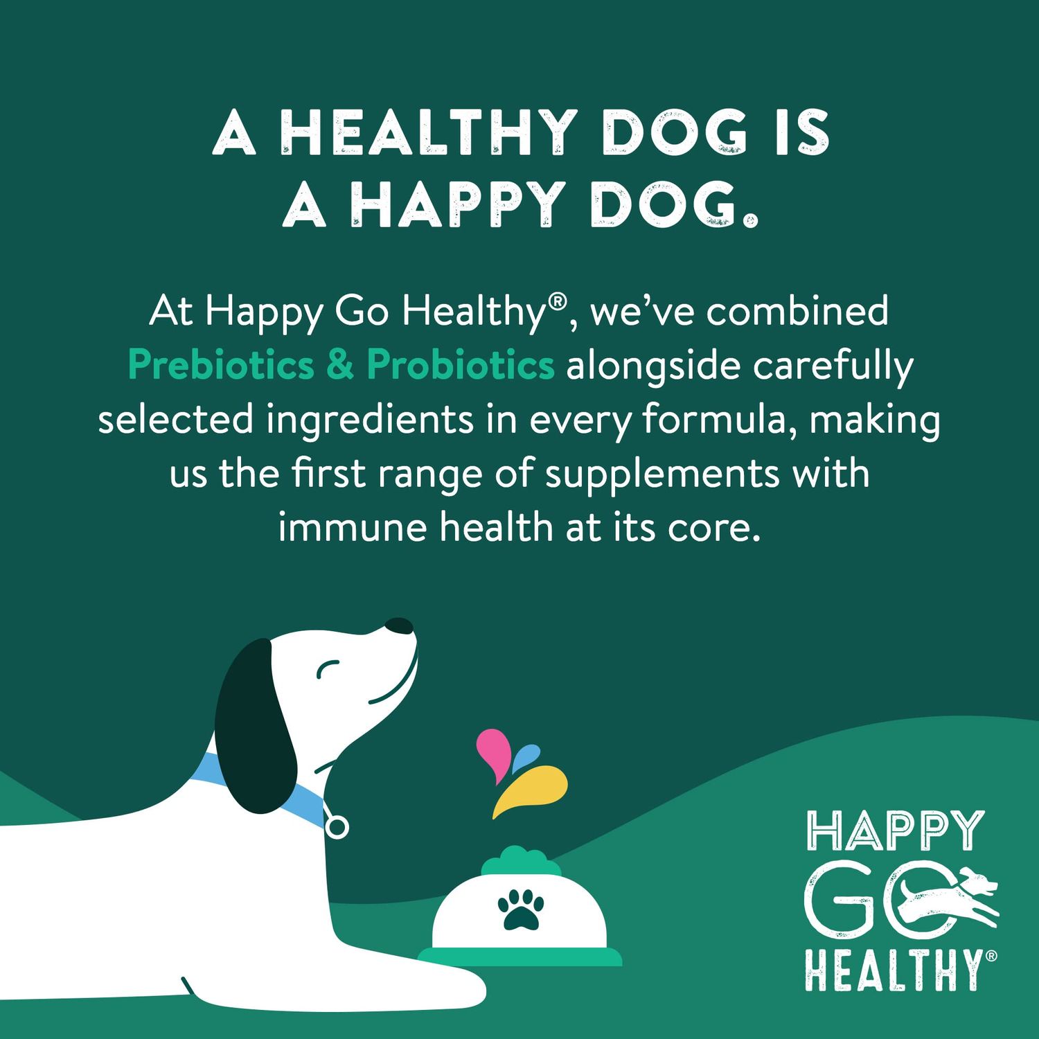 Happy Go Healthy Dog Gut Health Probiotics Supplement | Improves Digestive Health and Immune System Support for Dogs and Puppies | All Natural Ingredients Tasty Kibble Dog Food Topper | 21 Count Pack