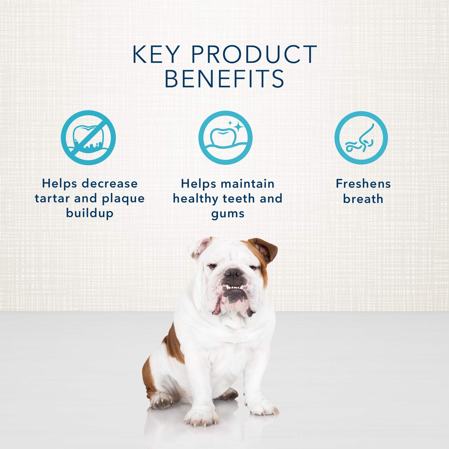 Blue Buffalo Dental Bones Small Natural Dental Chew Dog Treats, (15-25 lbs) 27-oz Bag Value Pack