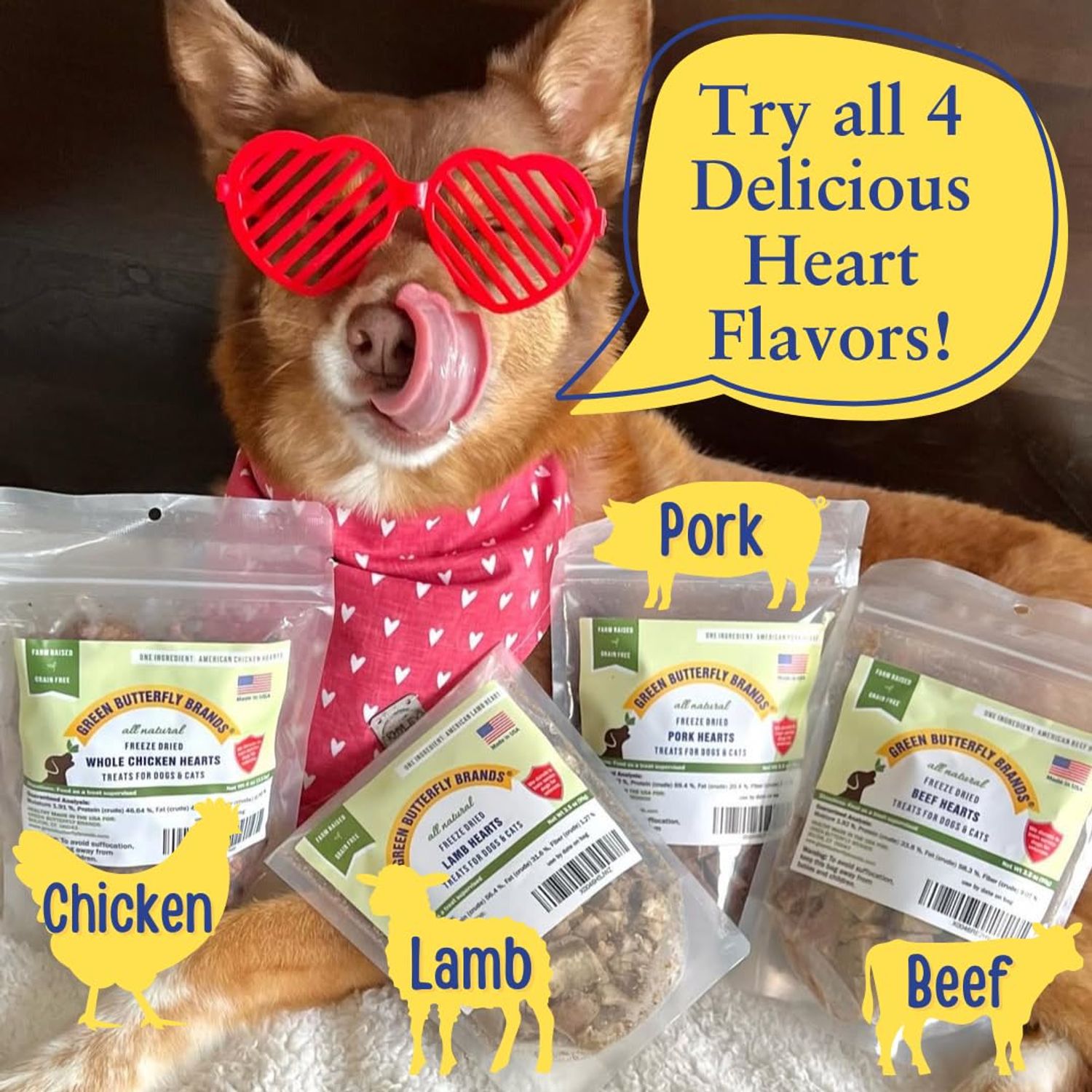 Green Butterfly Brands Freeze Dried Chicken Heart Dog Treats Made In USA. All Natural Freeze-Dried Raw Snacks for Dogs and Cats. One Ingredient. High Protein. Heart Health. Irresistible Training Treat