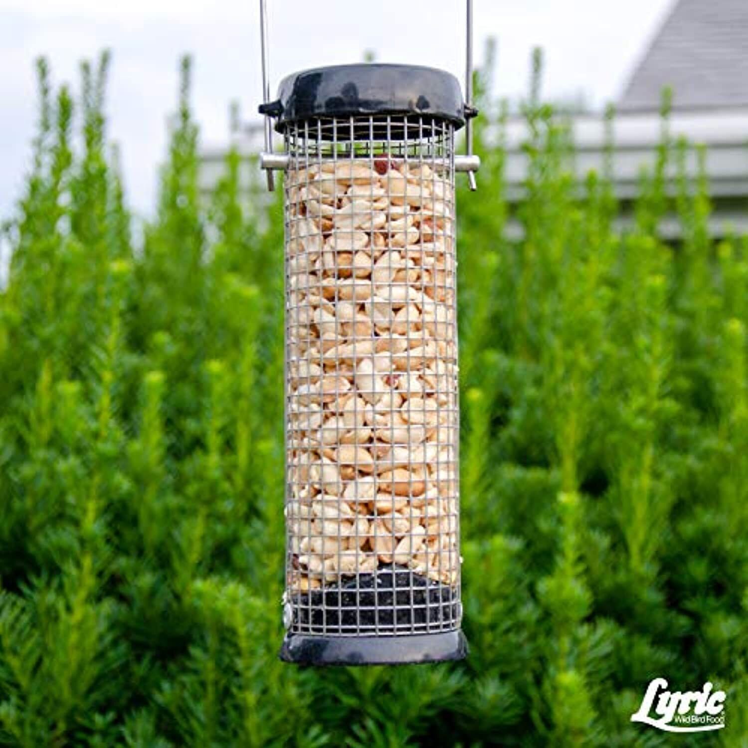 Lyric 2647464 Peanut Pieces Wild Bird Food, 5 lb