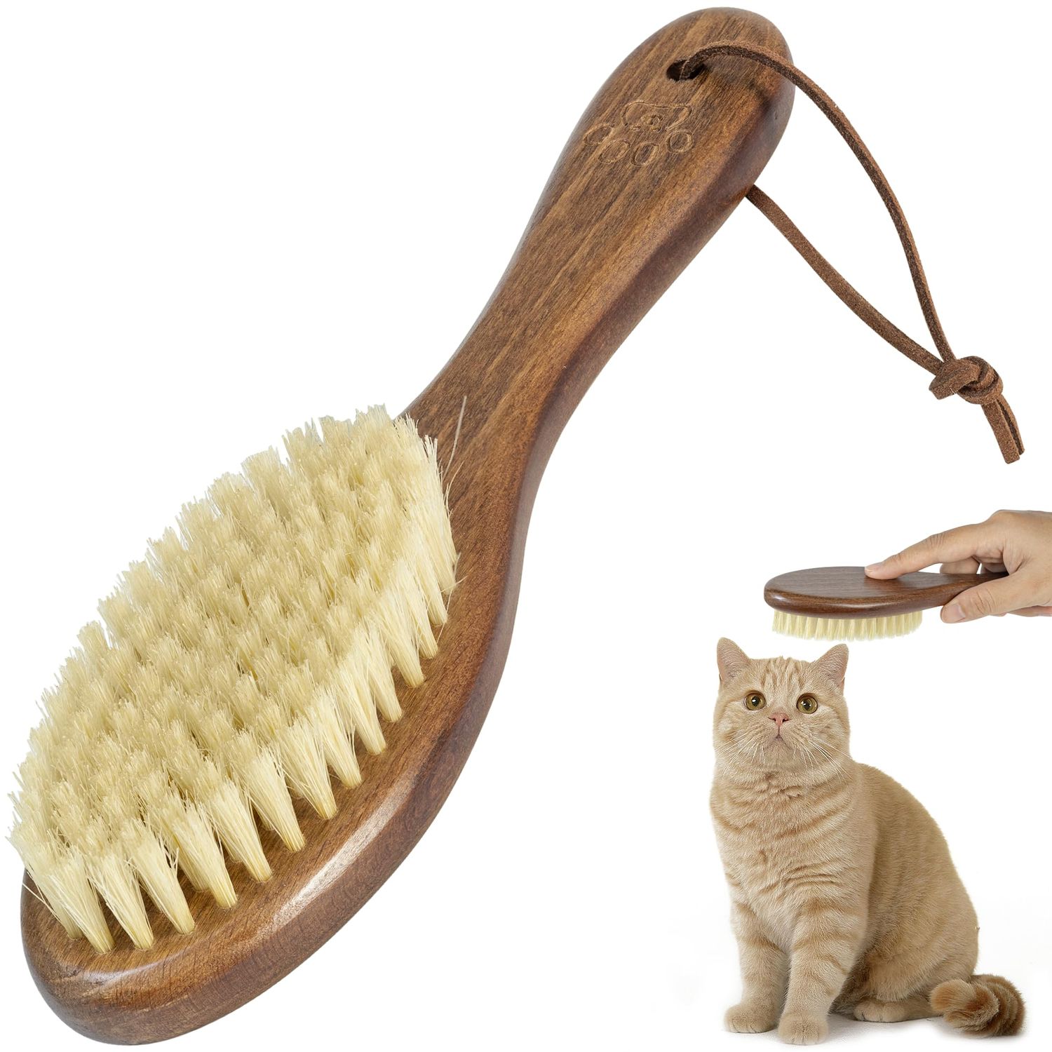 Takavu Boar Bristle Cat Hair Brush, Pet Grooming Brush with Natural White Bristles and Wooden Handle for Sensitive Skin, Pet Cleaning Supplies Keeping Your Cat's Fur Hair Coat Healthy and Shiny