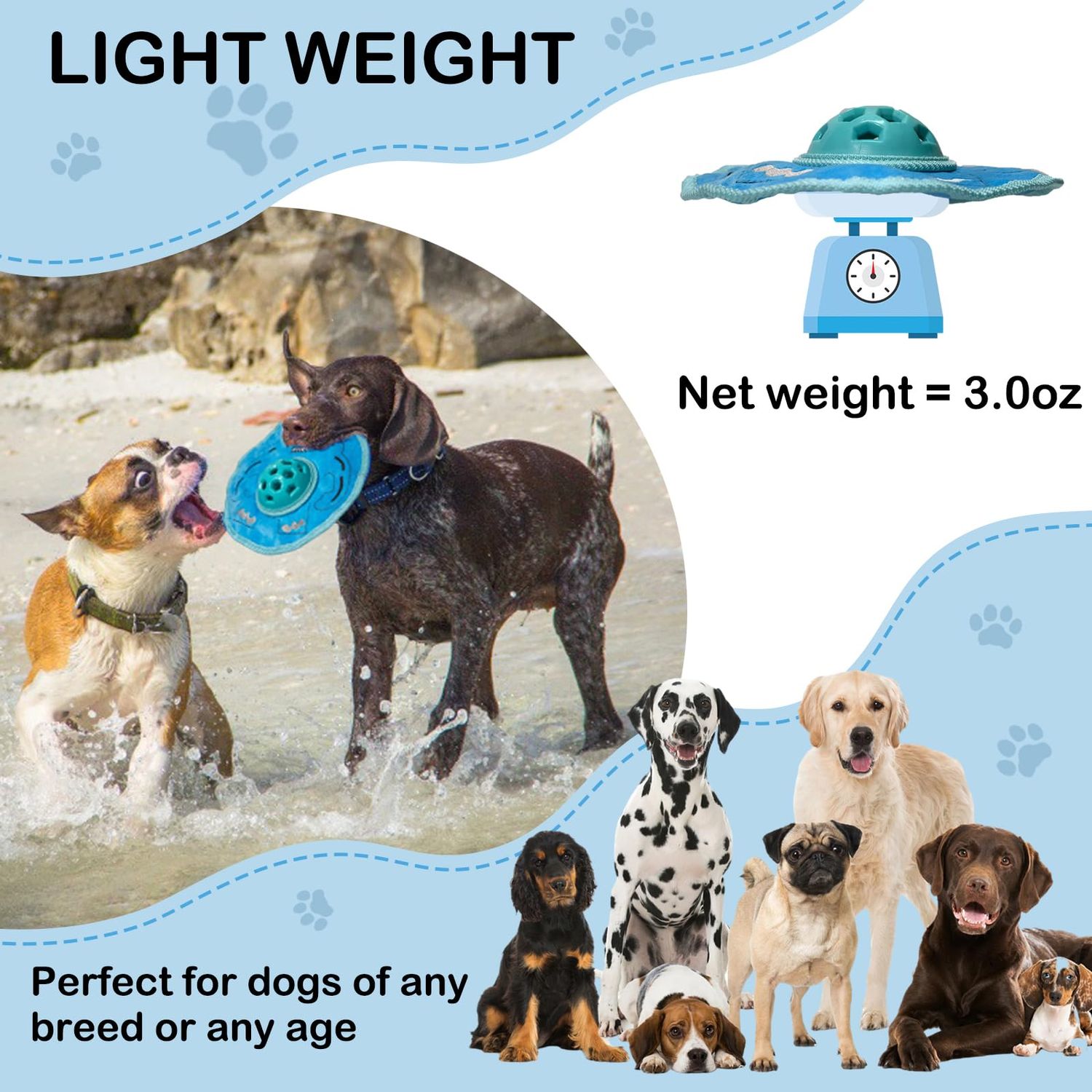 Chasinto 3 in 1 Flying Discs Squeaky Toy for Dogs Halloween Dog Toys Fetch Play Ball Outdoor Fun Game Treat Toy for All Breeds