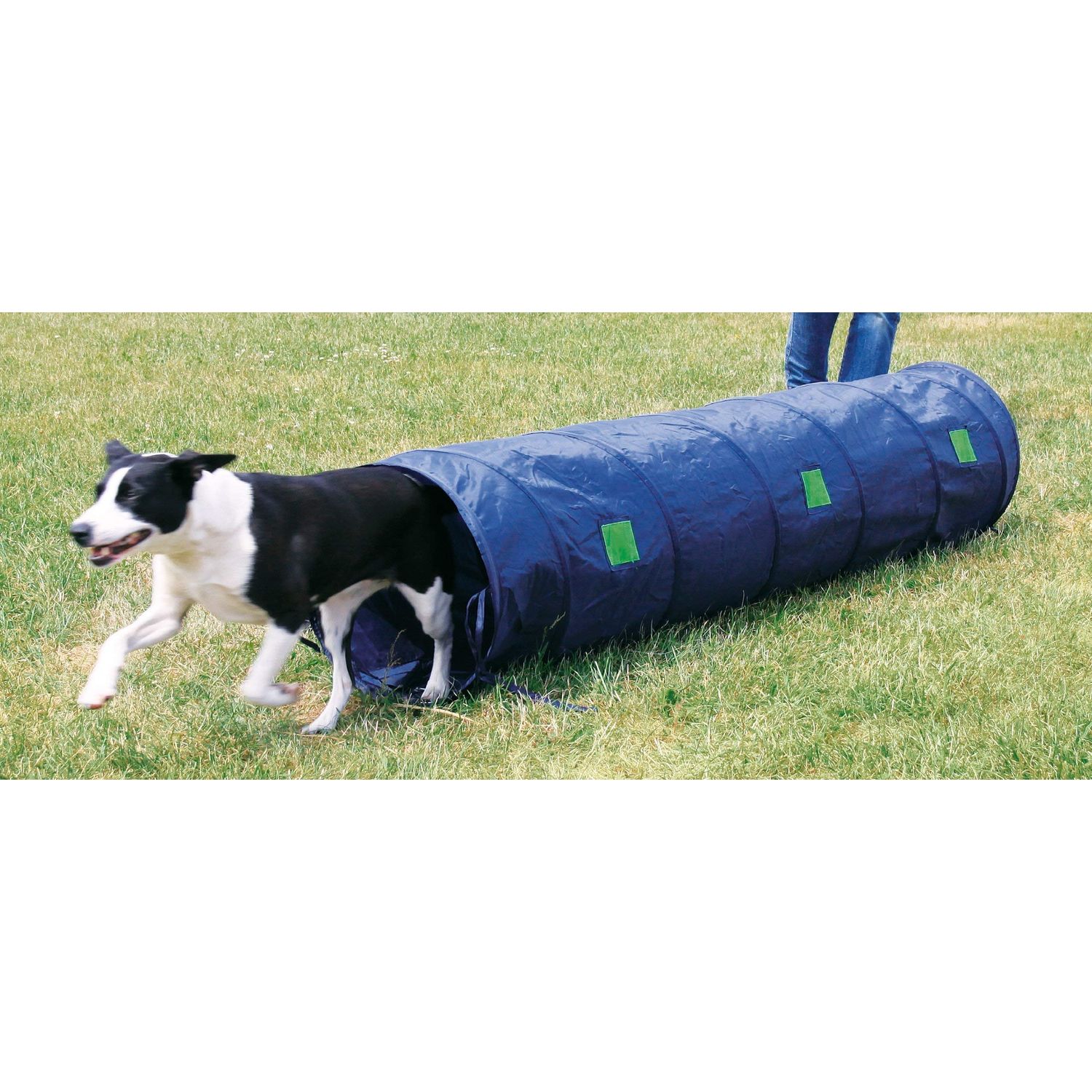 TRIXIE Dog Agility Tunnel 6.5 FT, Portable Dog Training Tunnel, Obedience, Exercise Equipment