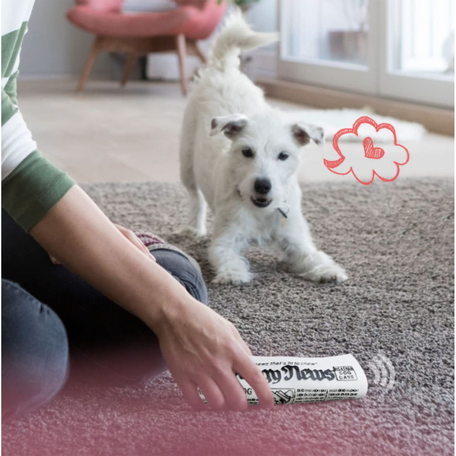 GabeFish 2PCS Funny Dog Chew Toys, Newspaper Dog Toy, 6.2 x 2.1-in (16 x 6.5 cm), Durable Squeak Toy for Dogs