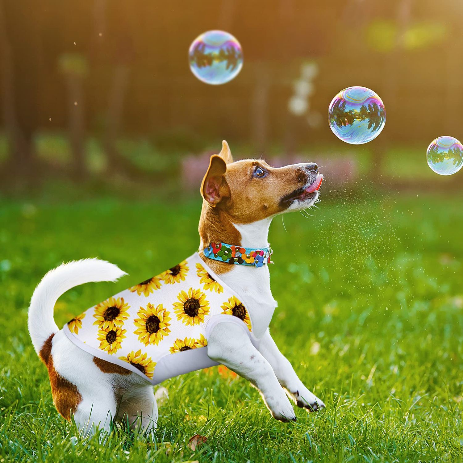 8 Pieces Sublimation Blank Dog Shirt, Heat Transfer Dog Apparel Pajamas, Heat Press Lightweight Puppy Vest, Cool Breathable Clothes for Small Medium Wearing(S)