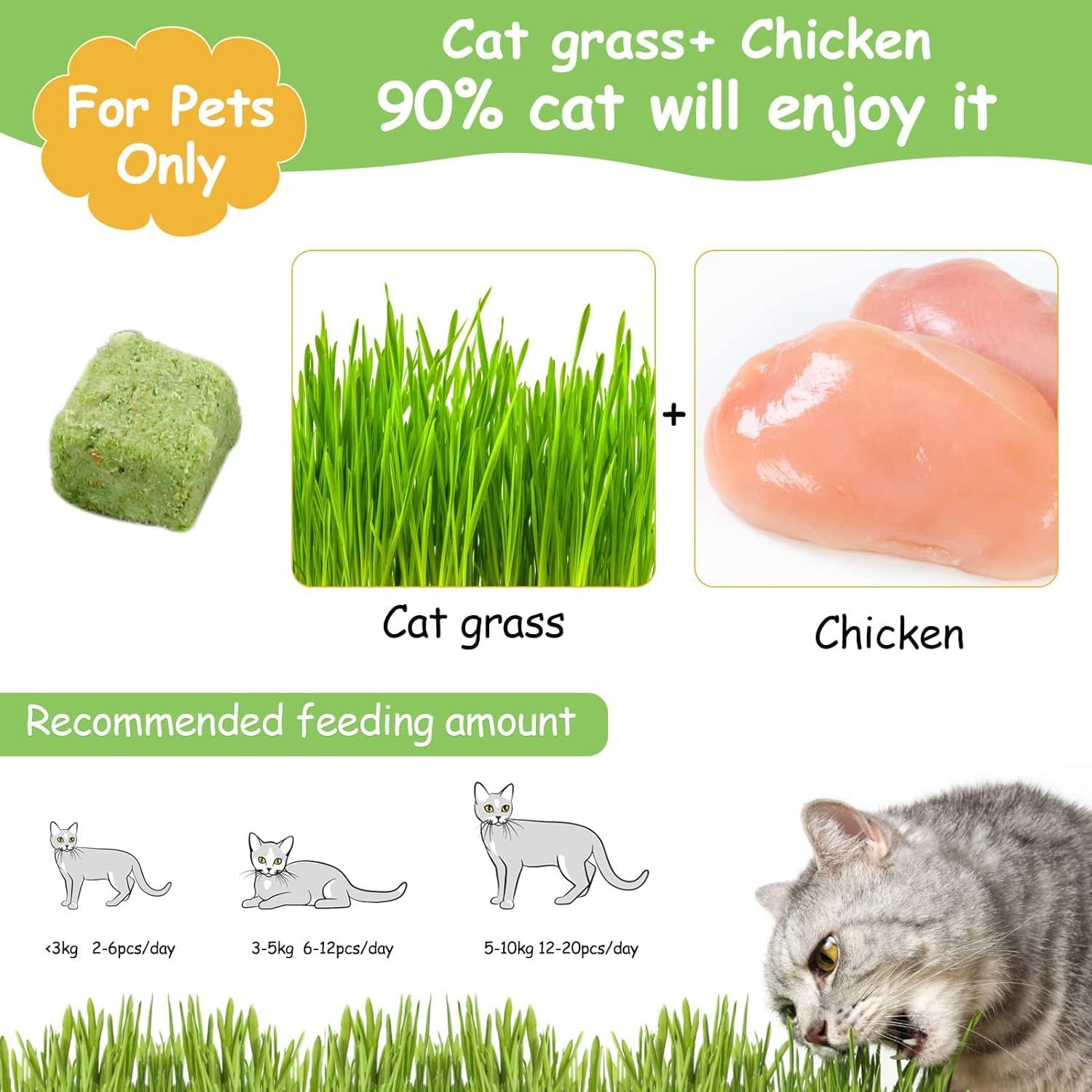 HavenJanny 60g Cat Grass Treats for Cat, Freezed Drying Cat Grass Teething Stick Snacks for Cats, Edible Cat Chew Toys for Teeth Cleaning and Hairball Removal